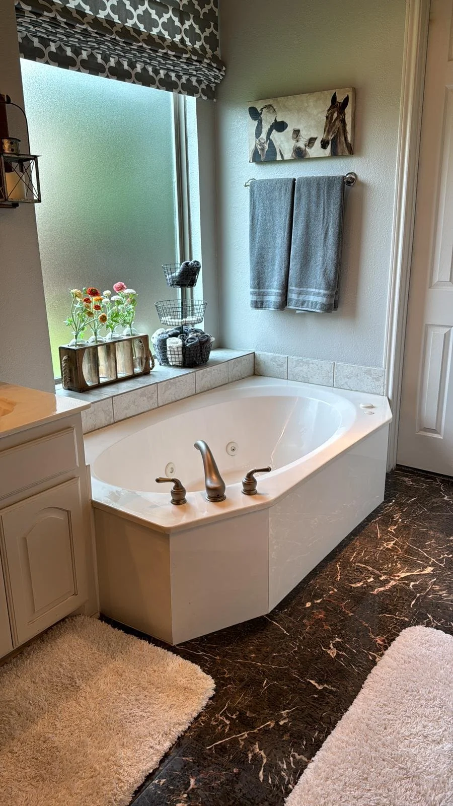 Bathroom cleaned in Bartonville, Texas