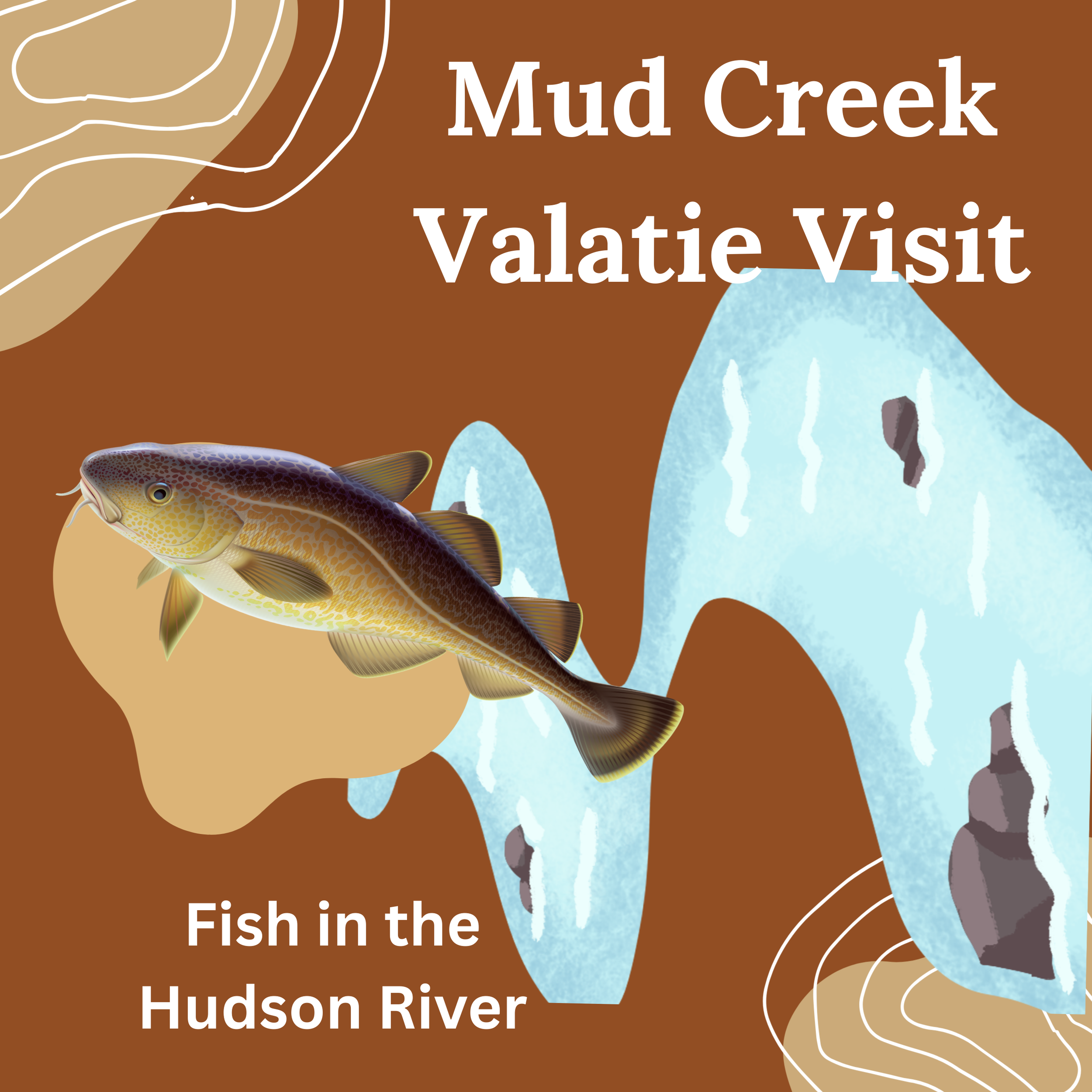 Mud Creek at Valatie Playgroup: Fish in the Hudson River