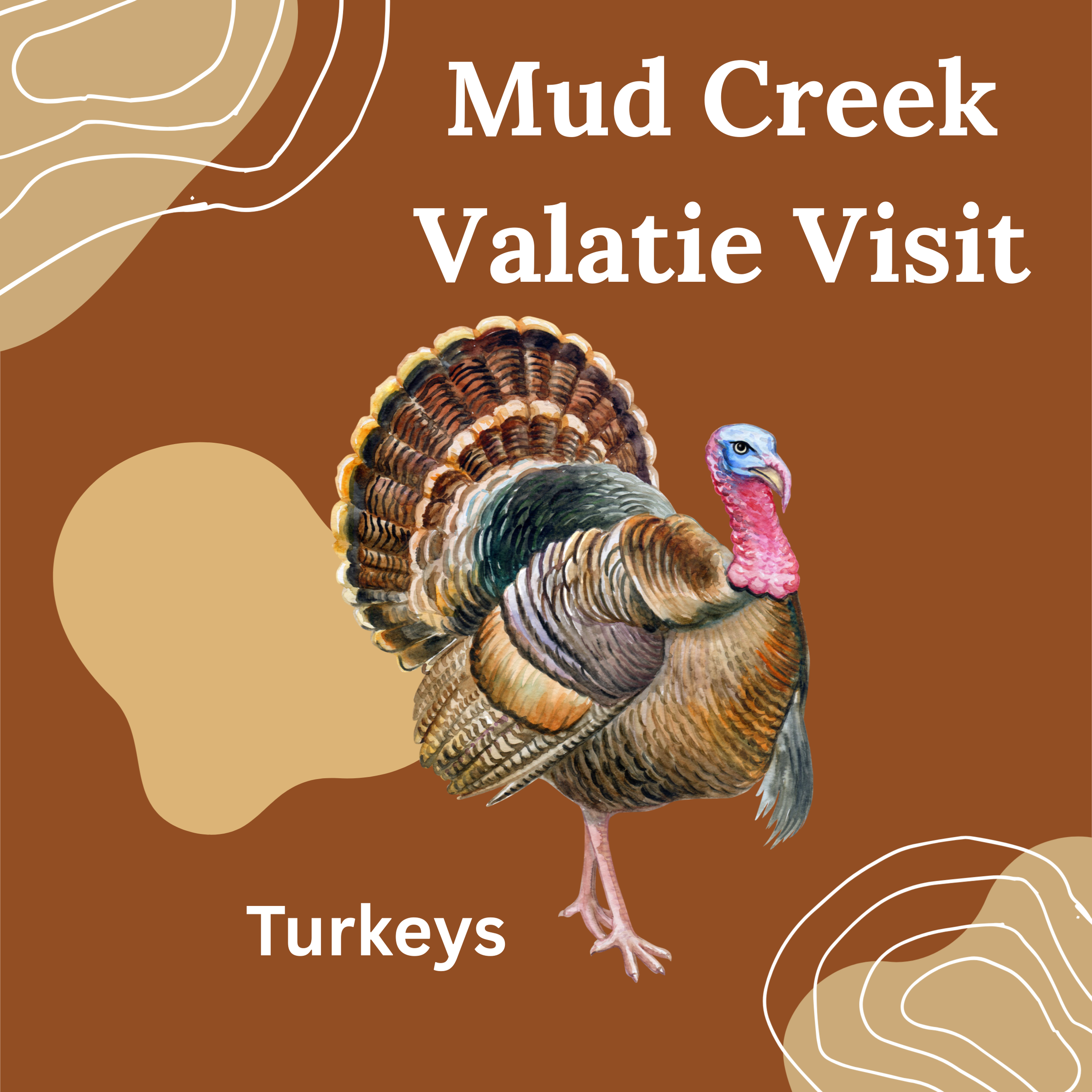 Mud Creek at Valatie Playgroup: Turkeys