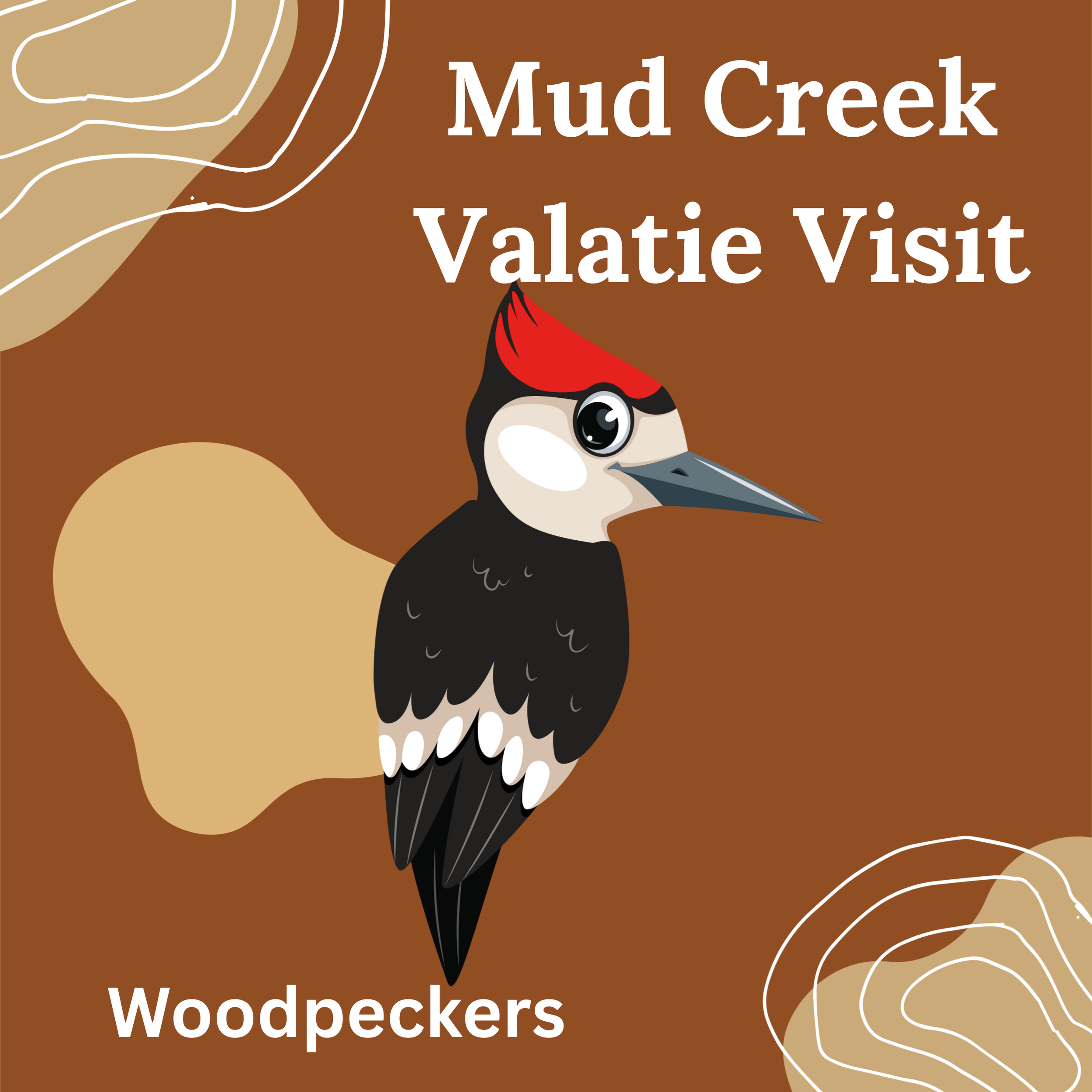 Mud Creek at Valatie Playgroup: Woodpeckers