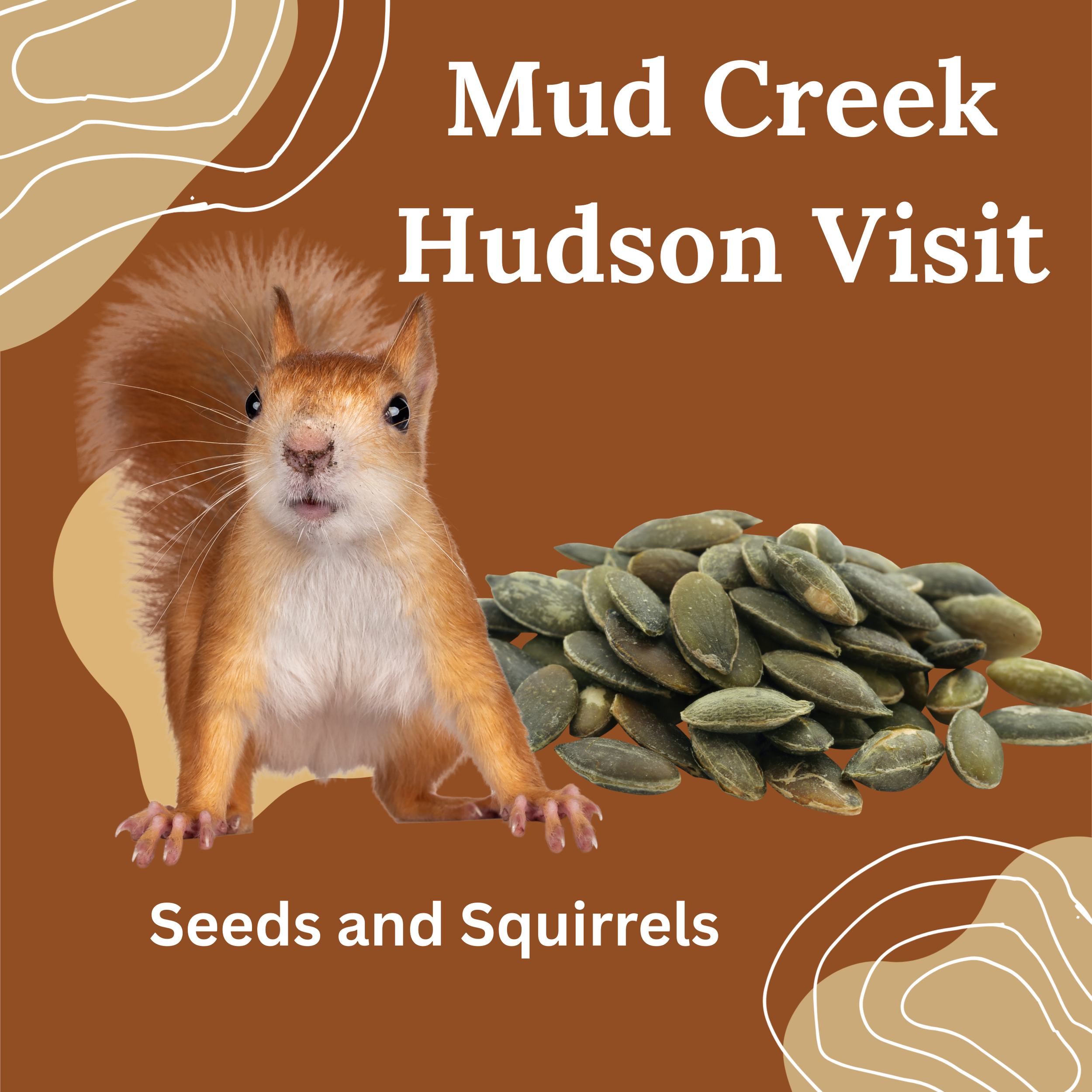 Mud Creek at Hudson Playgroup: Seeds and Squirrels