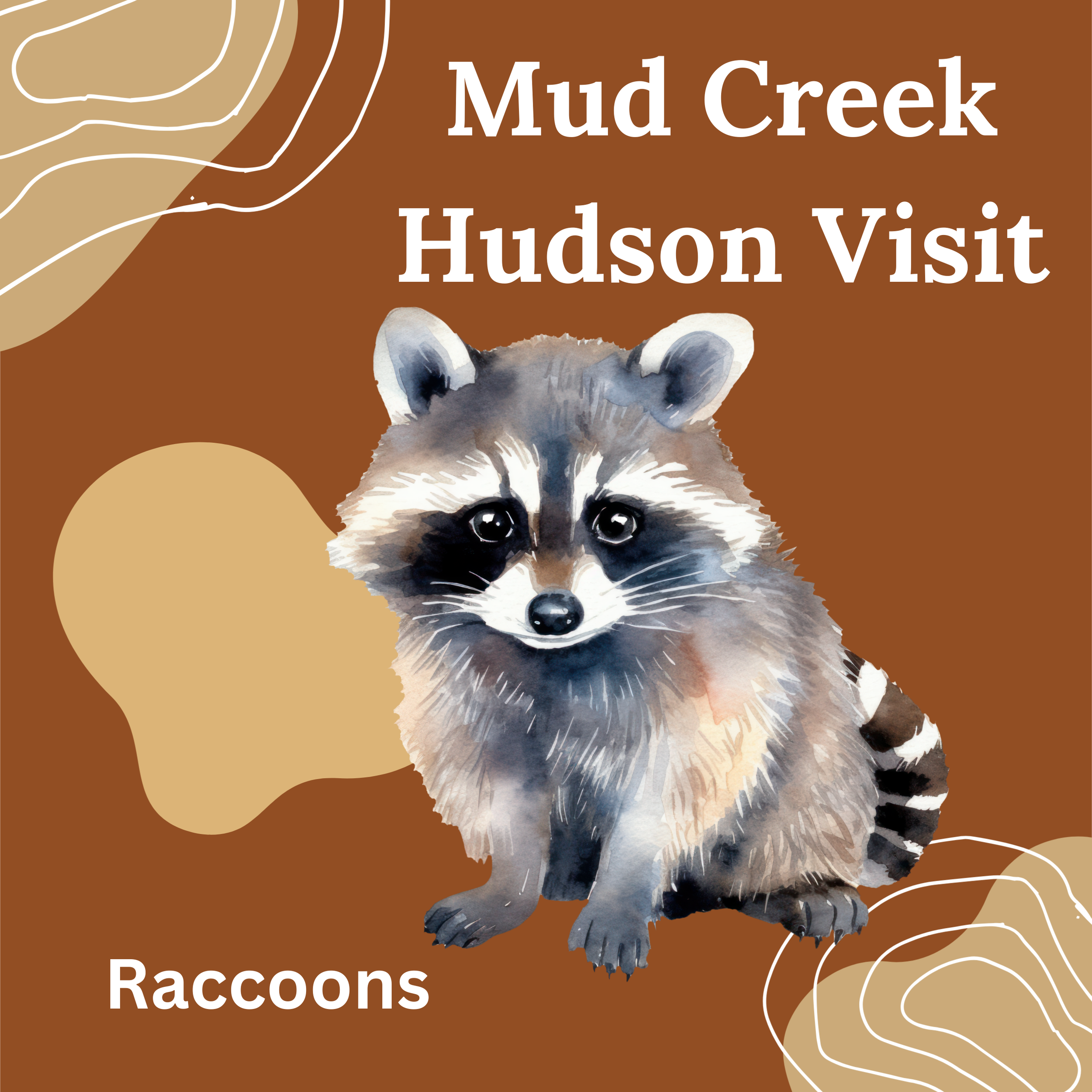 Mud Creek at Hudson Playgroup: Racoons