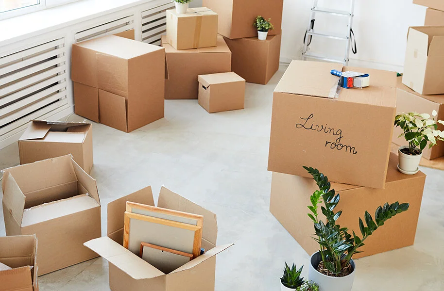 valuable items packing image.jpg