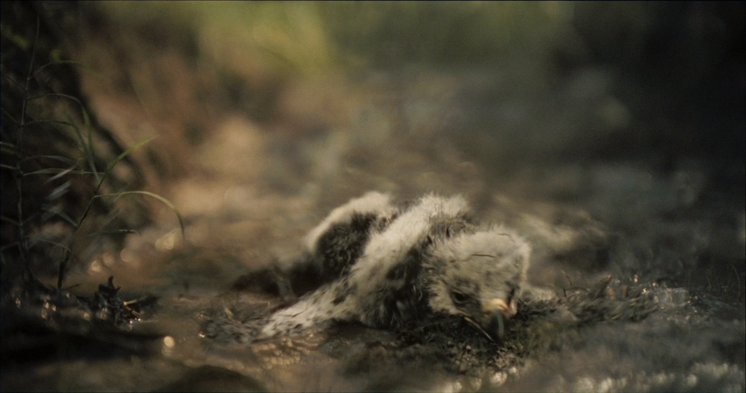 sh320_still_v02.jpg