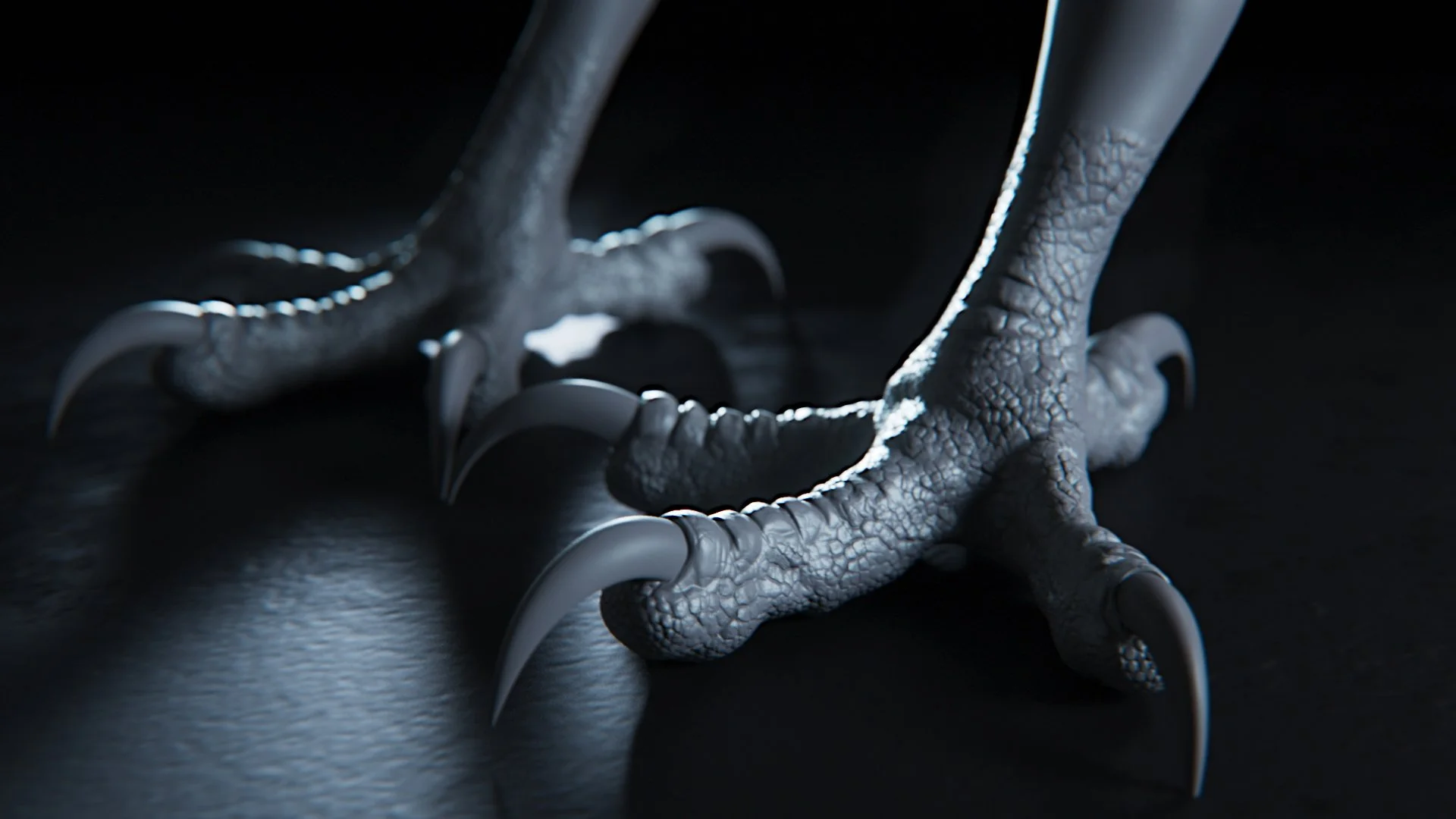 closeup_feett_still_v02.jpg