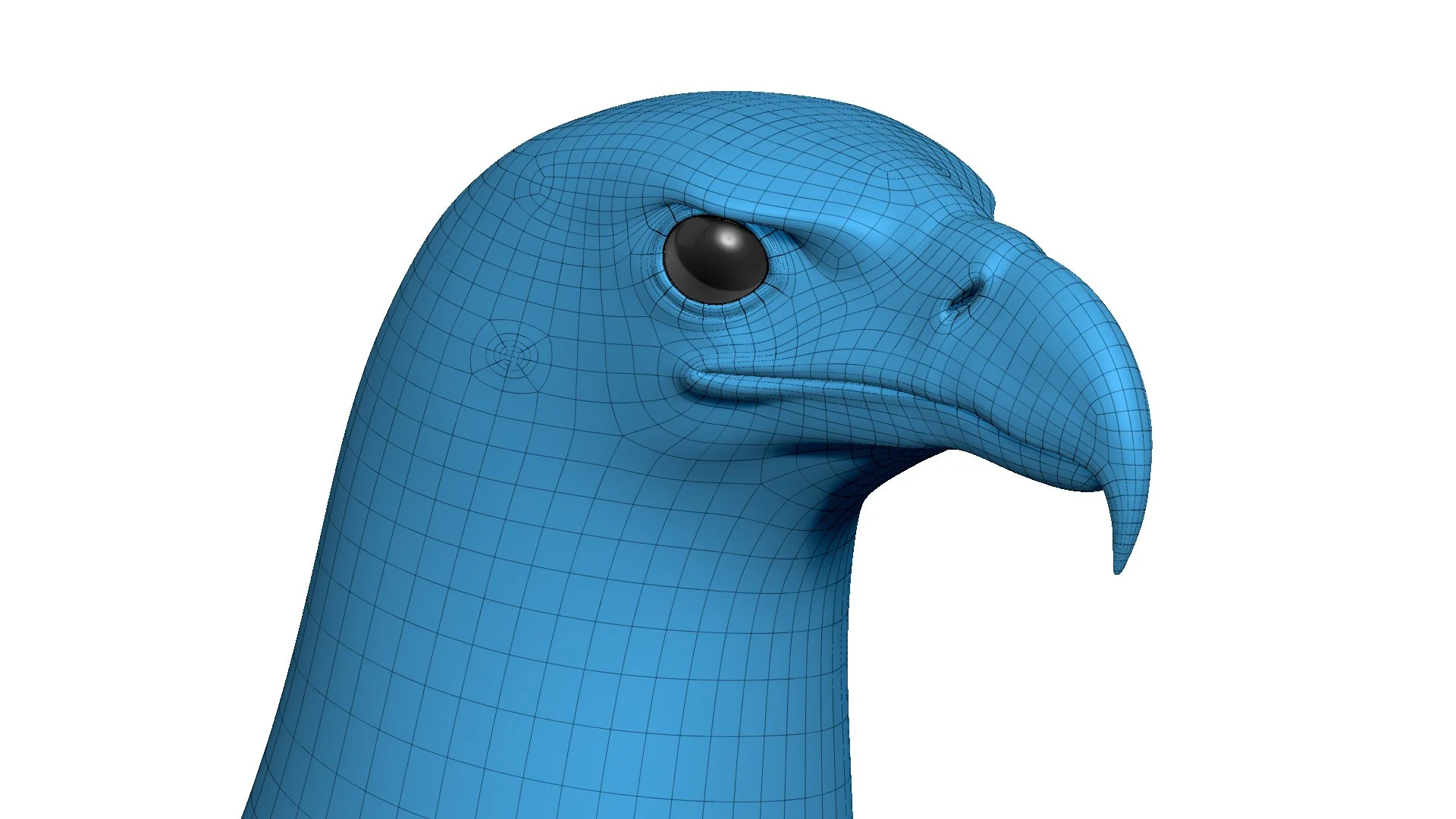 closeup_adult_still_topo_01.jpg
