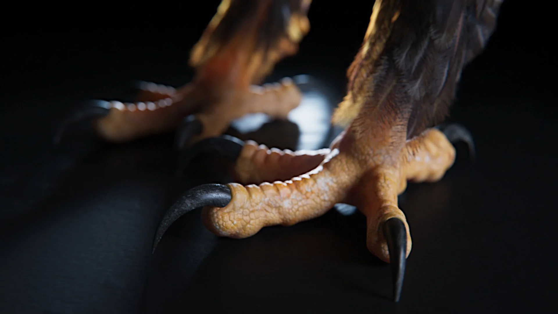 closeup_feett_still_v01.jpg
