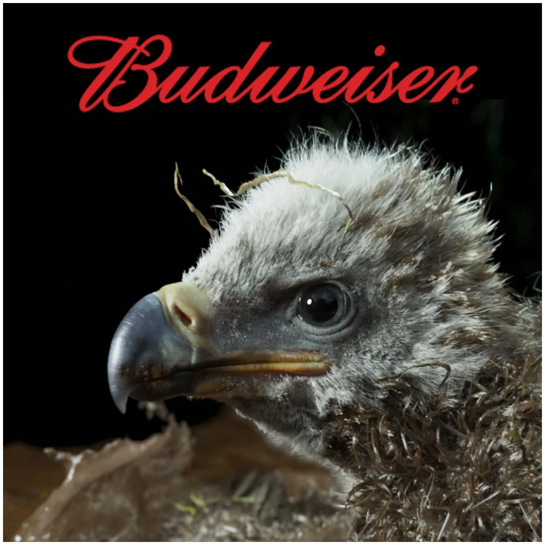 Budweiser Teen Eagle