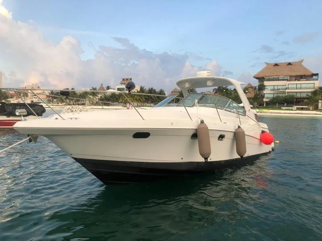 WhatsApp Image 2023-12-20 at 12.32.02.jpeg