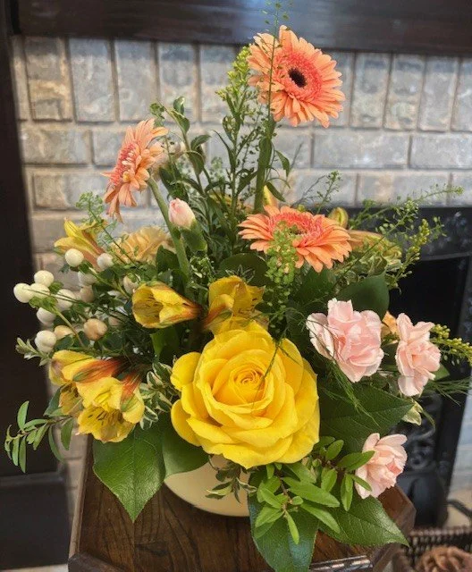 Gerbera Garden