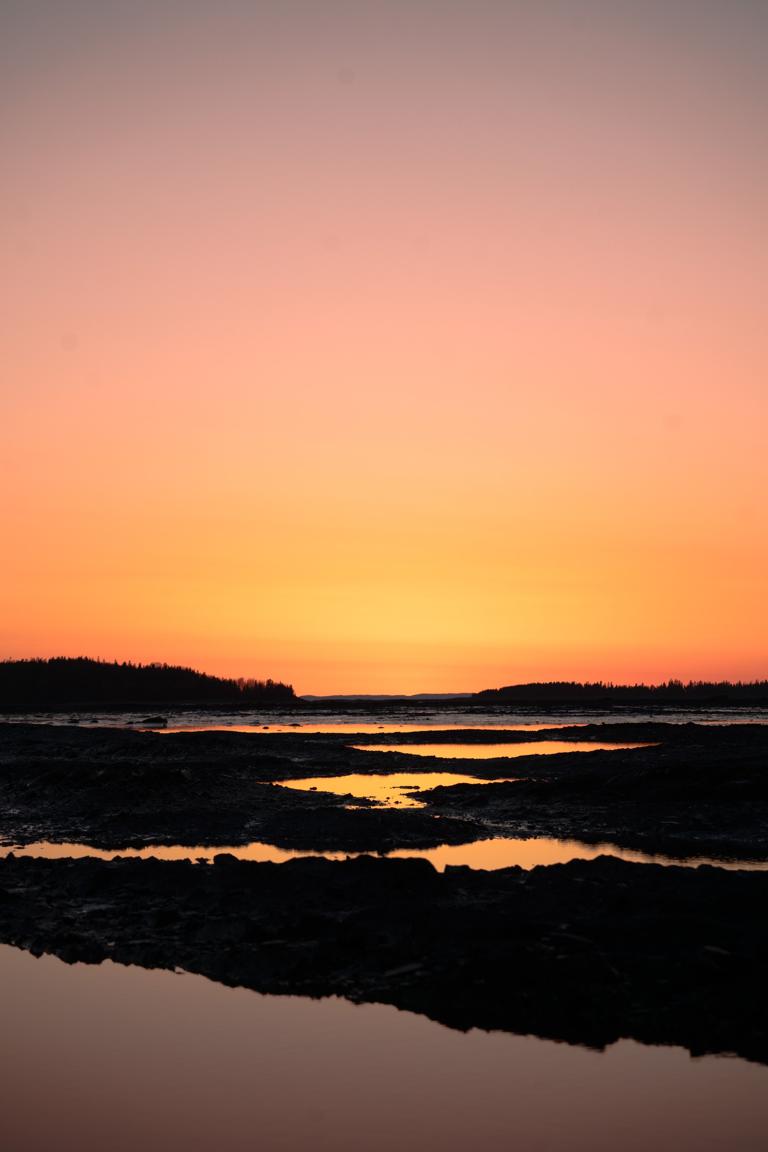 DSC08807.jpg