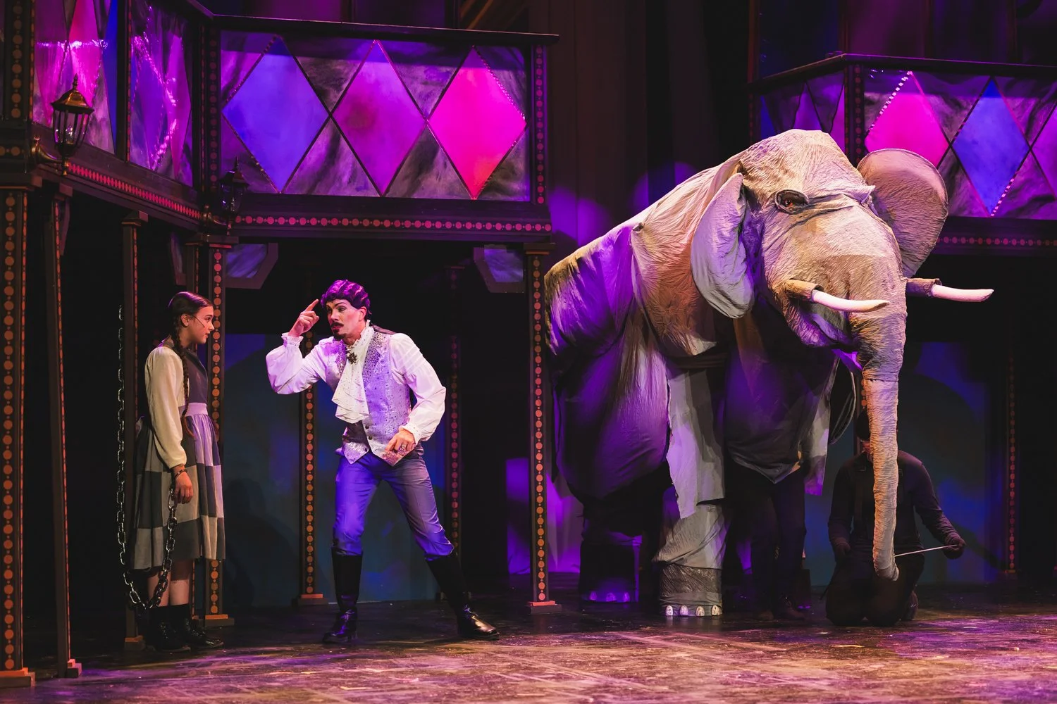 Elephant7A2923.jpg