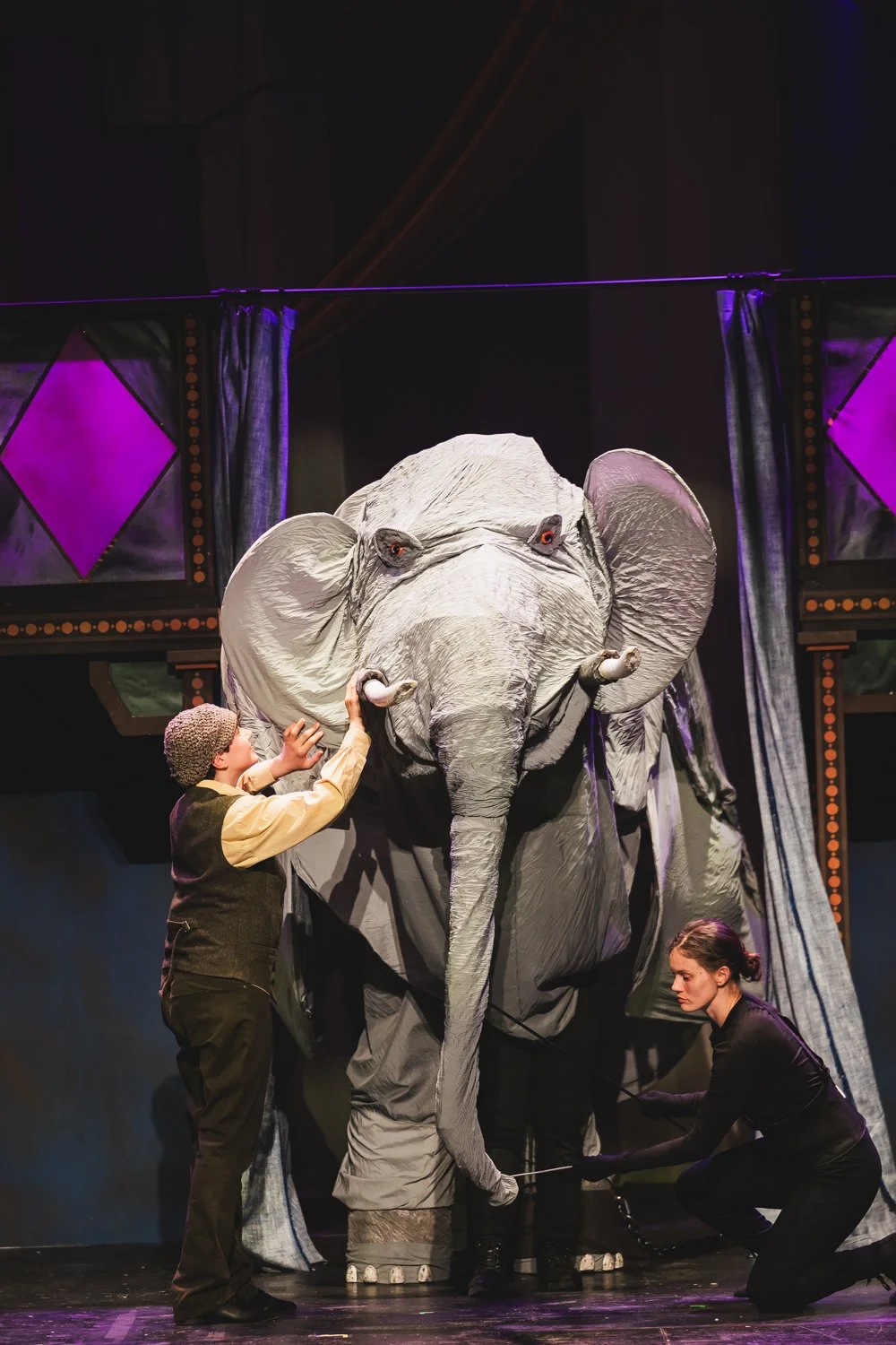 Elephant7A2814.jpg