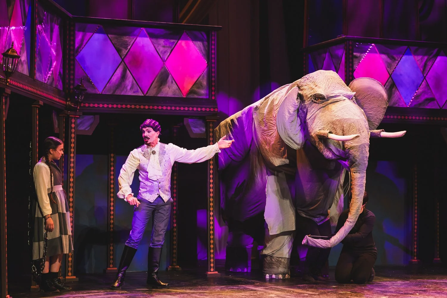 Elephant7A2931.jpg