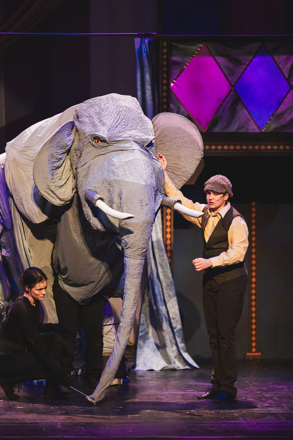 Elephant7A2819.jpg