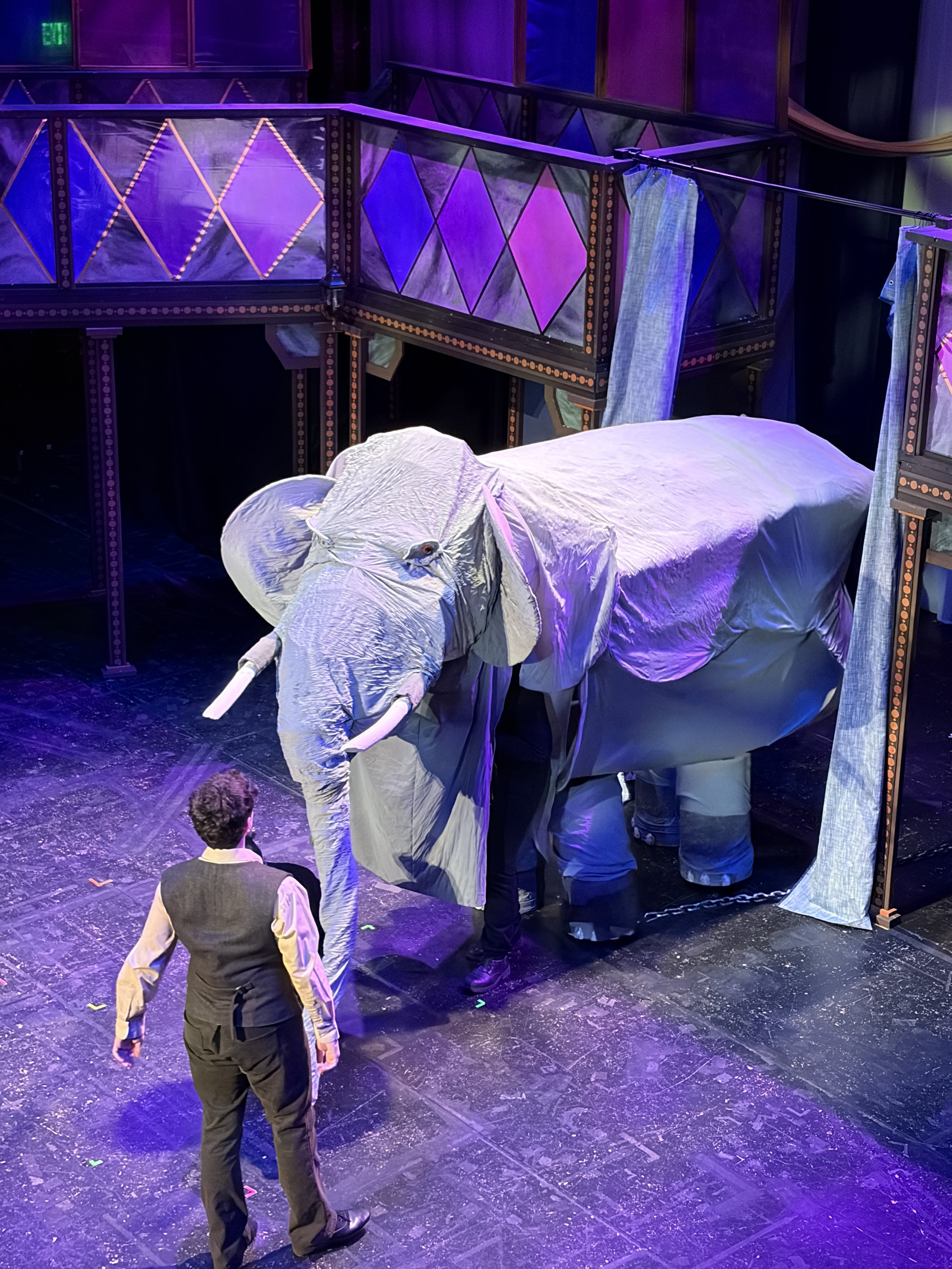 Elephant_9363 (1).JPG