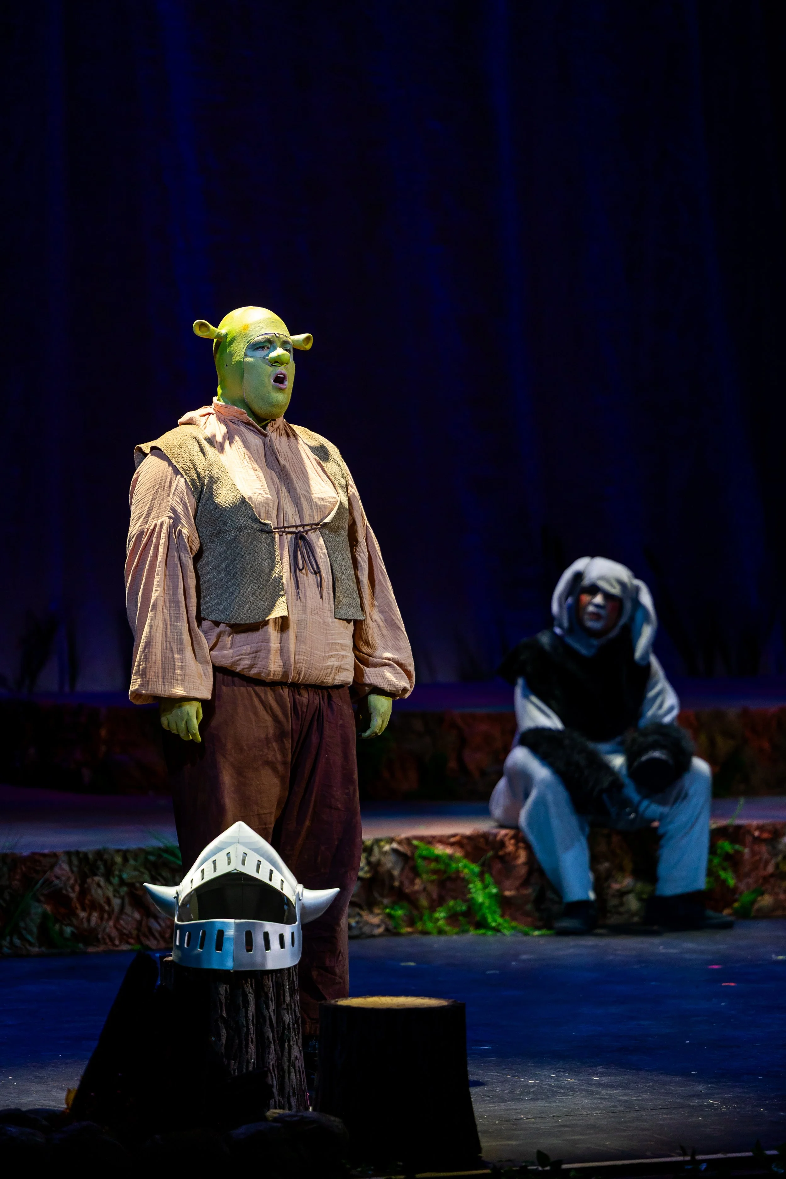 381_Shrek_7423.jpg