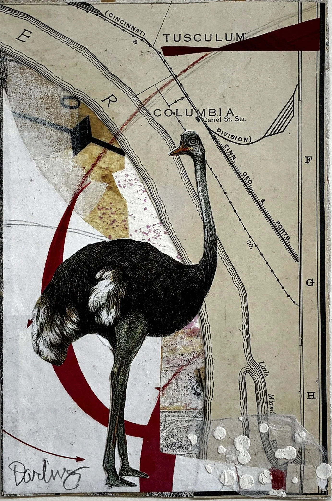 Susan Davitti-Darling | Marietta, PA | Struthio Camelus | $125