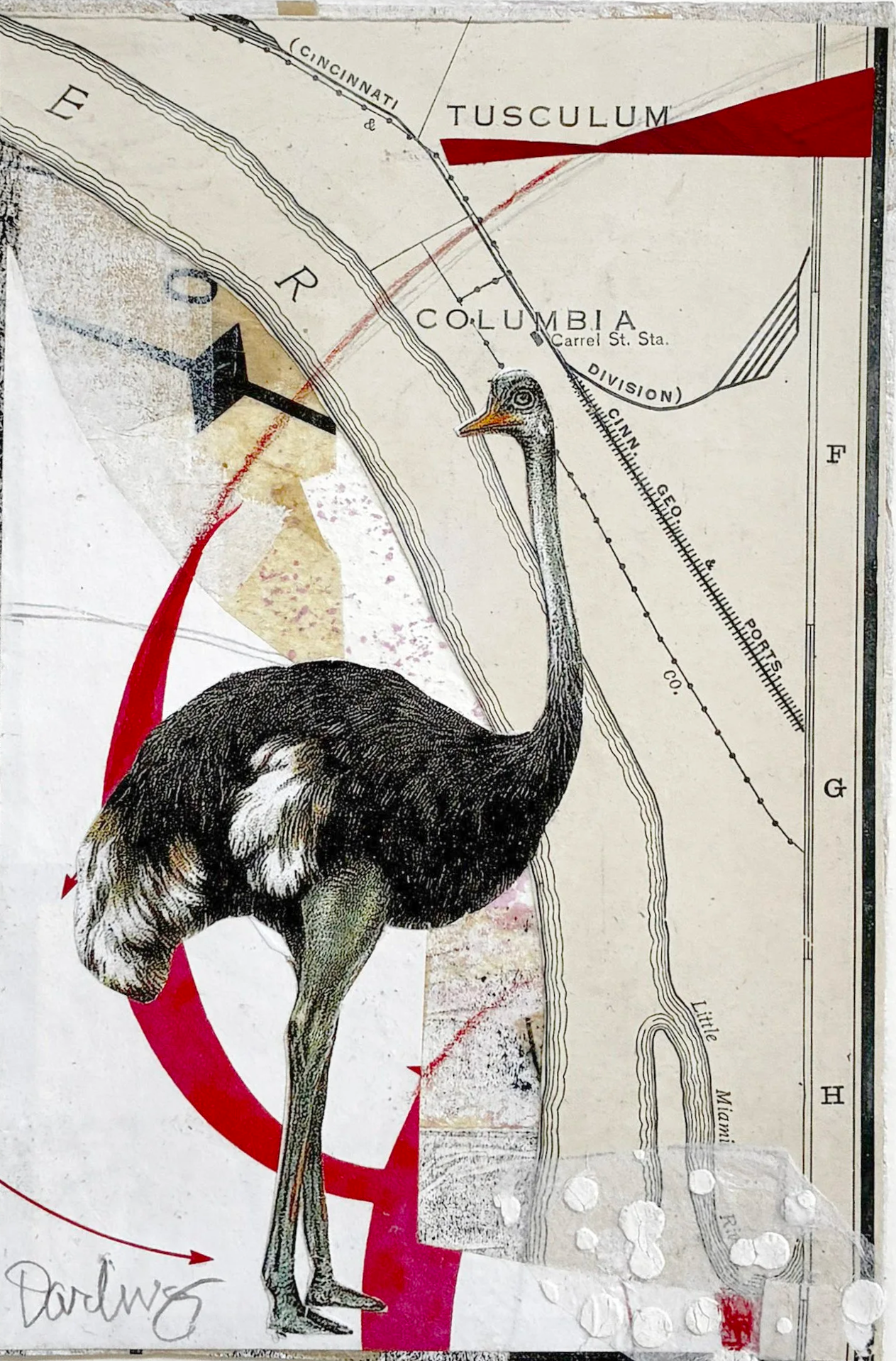 Susan Davitti-Darling | Marietta, PA | Struthio Camelus | $125