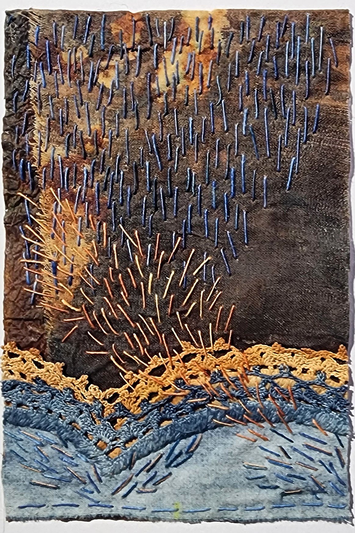Rebecca Quigley | Albuquerque, NM | Flying Fishes