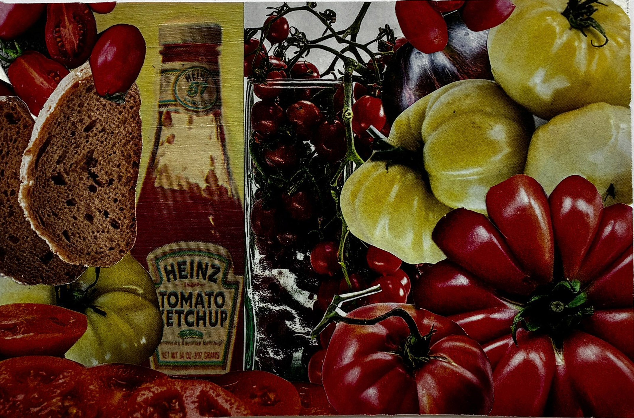 Regina Levin | Scottsdale, AZ | Eat Your Vegetables | $50