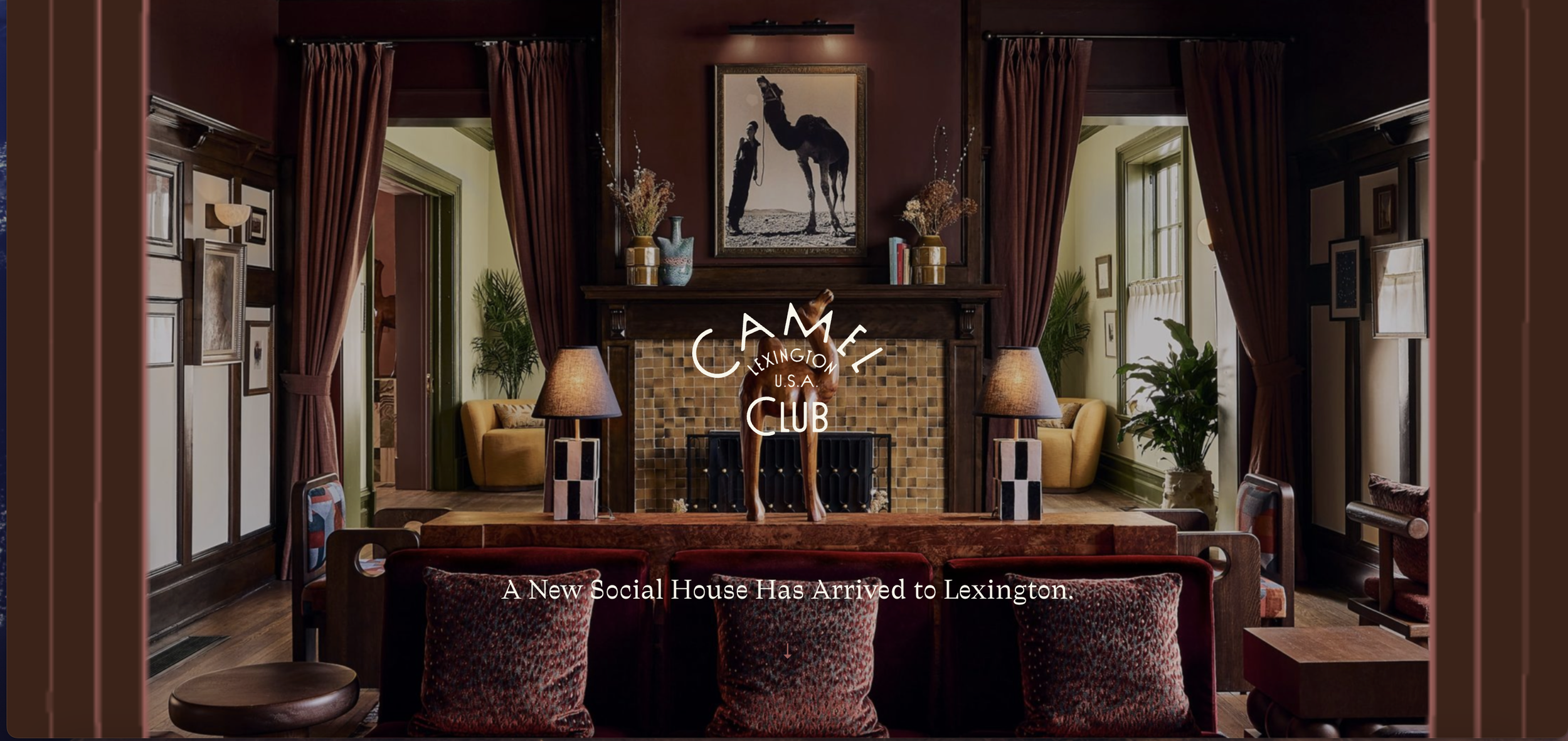 Camel Club x Invest Blue: Startup Investment &amp; Networking Session