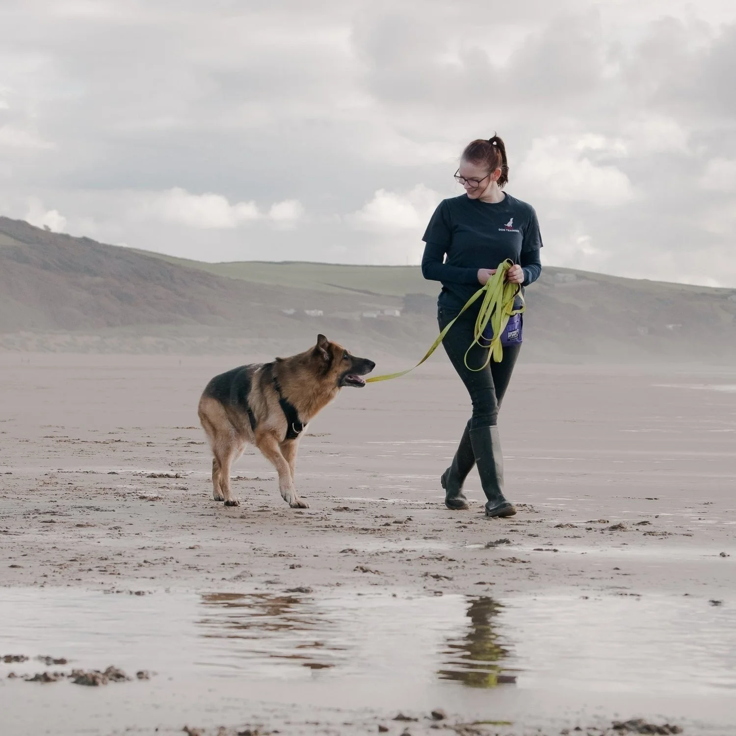 From Cyprus to stooge dog: how Bob made me a better dog trainer.