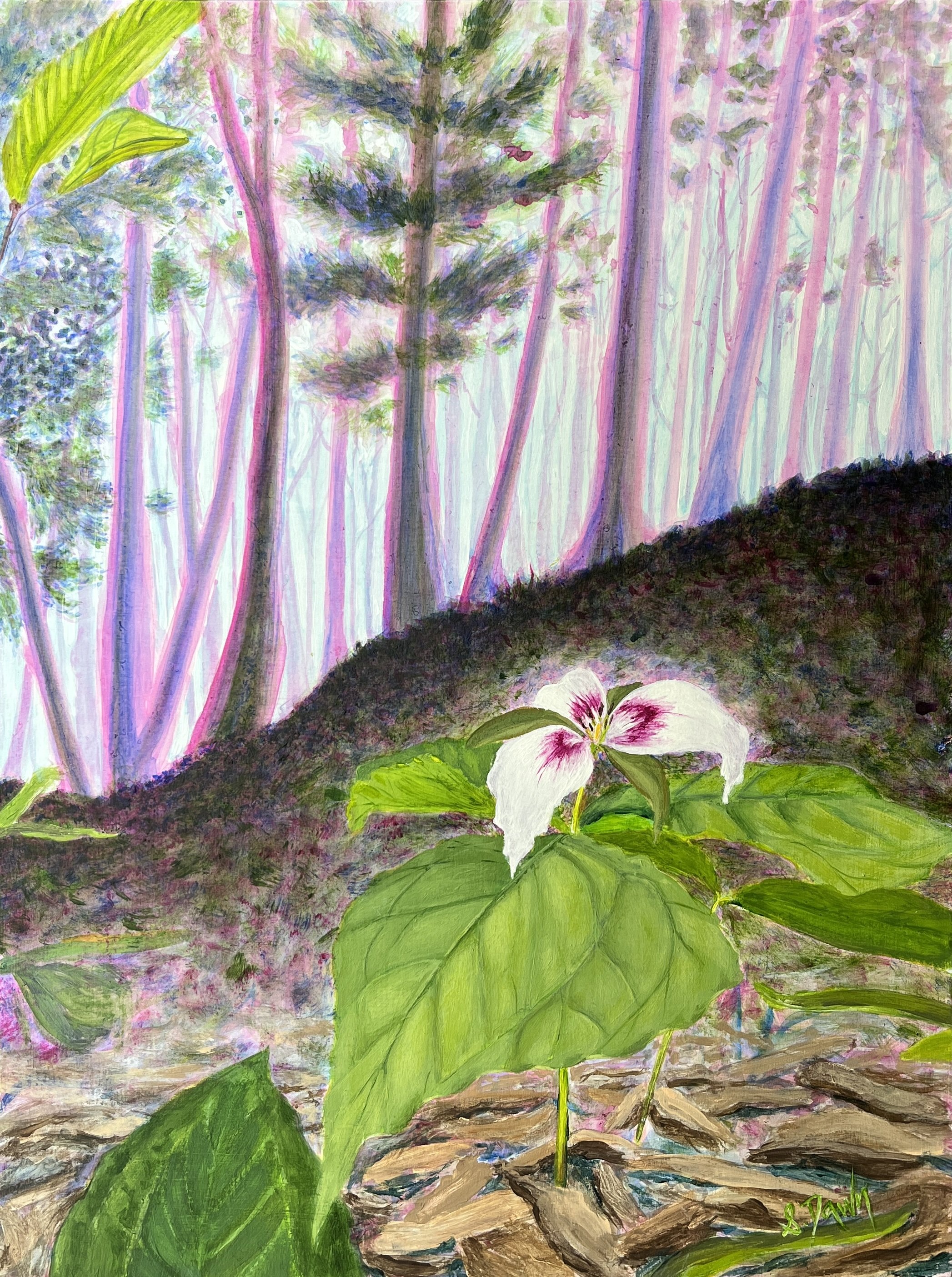 12 - Trillium.jpeg
