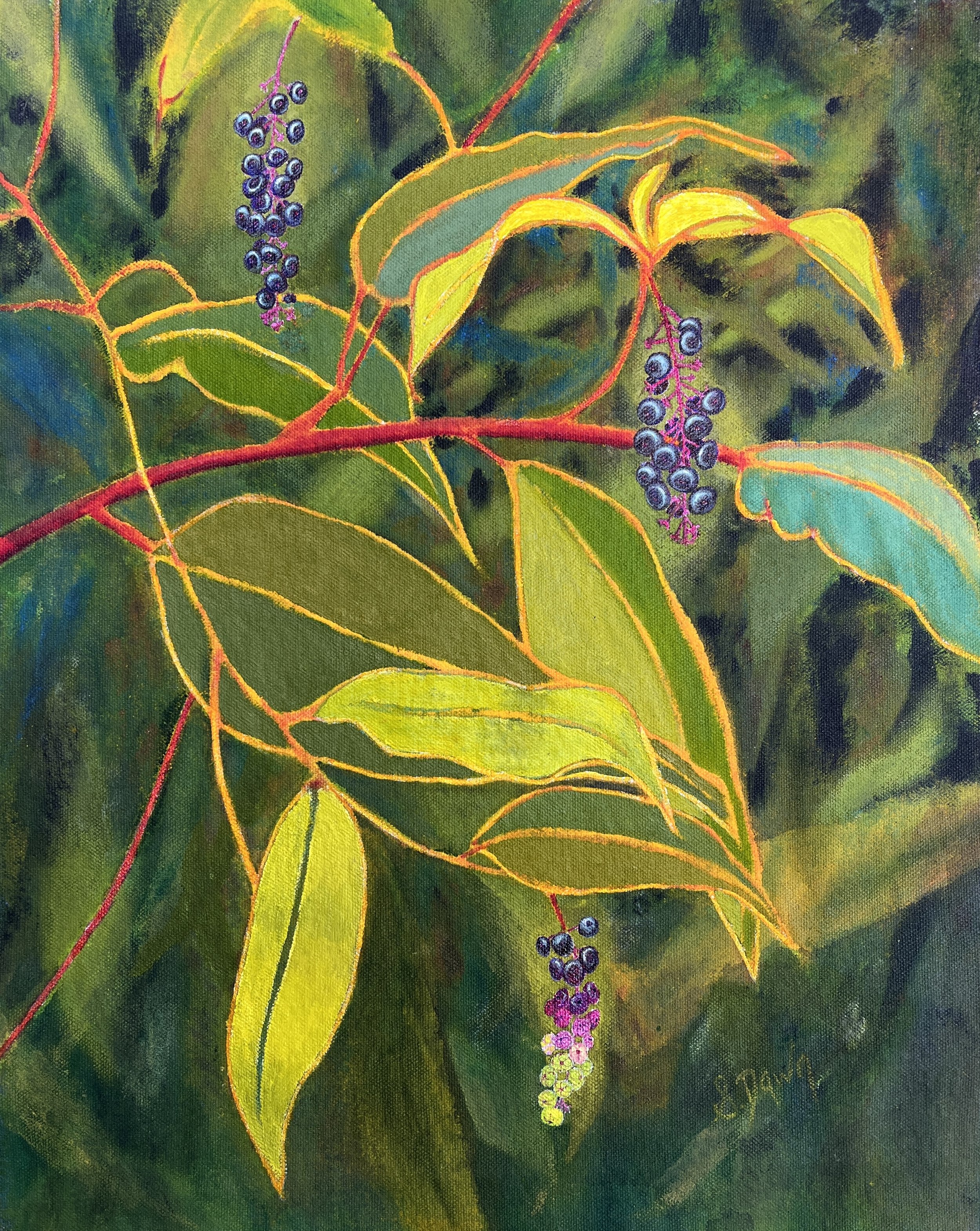7 - Pokeberry Plant.jpeg