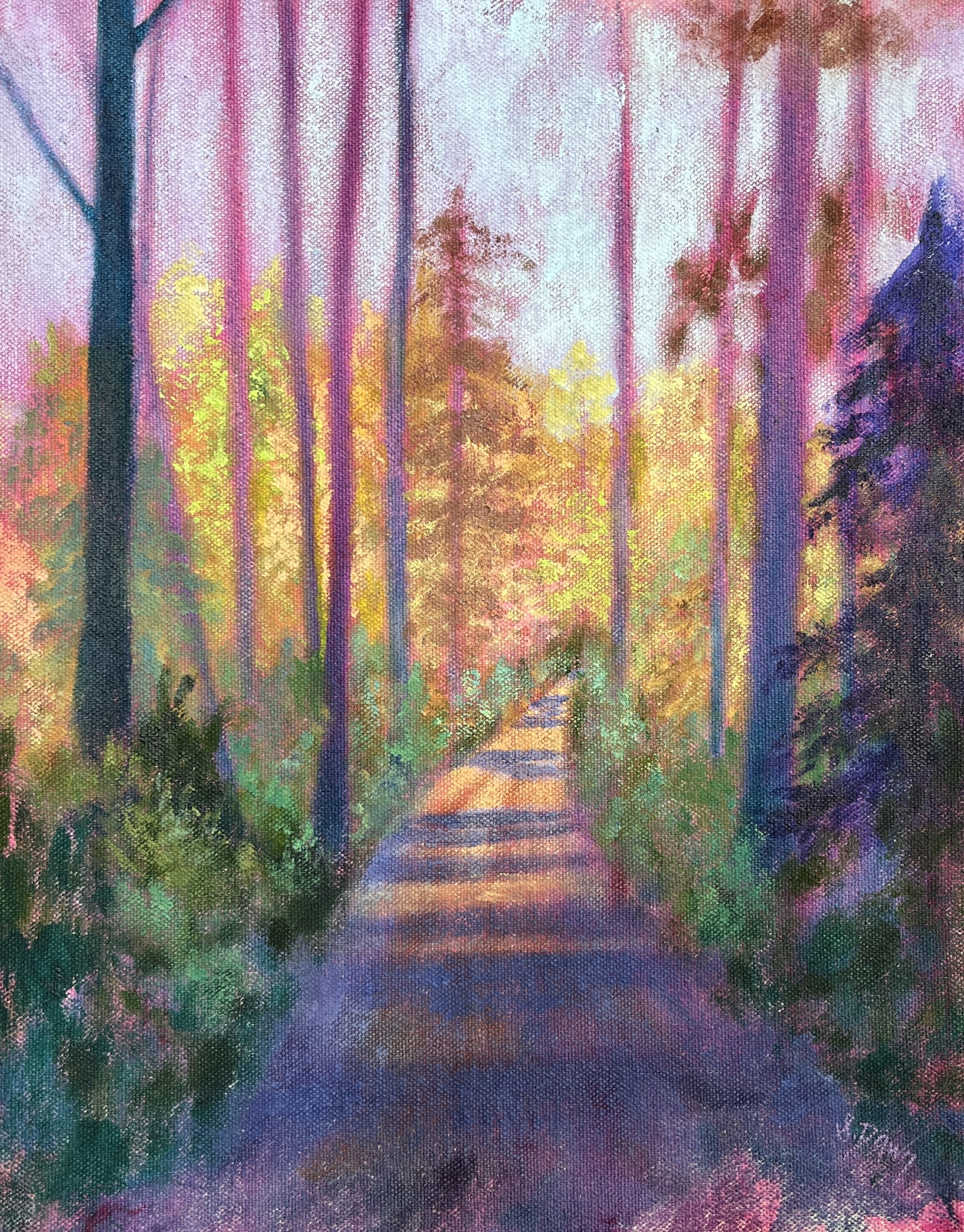 8 - Path through the Pines.jpeg