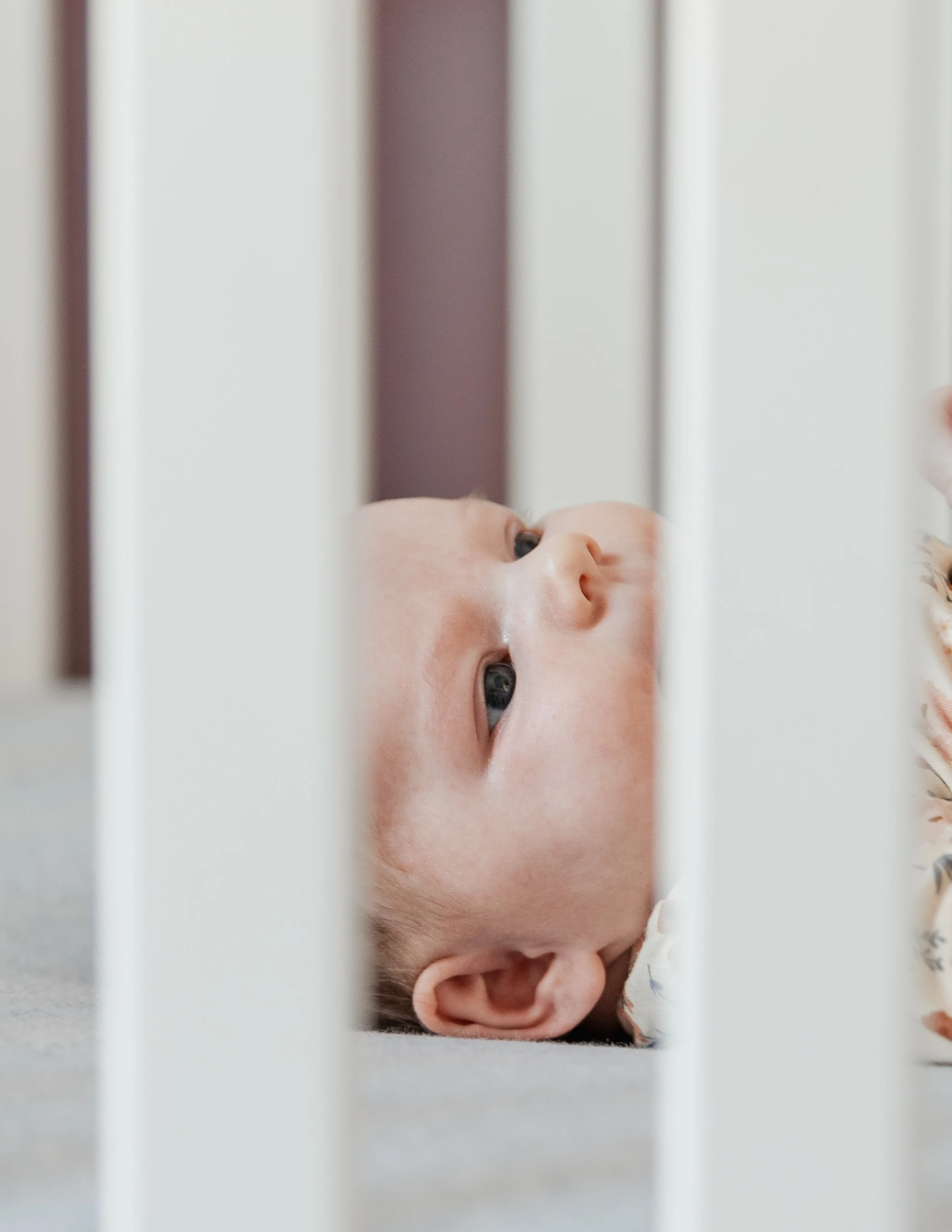 Katie Family (66 of 116).jpg