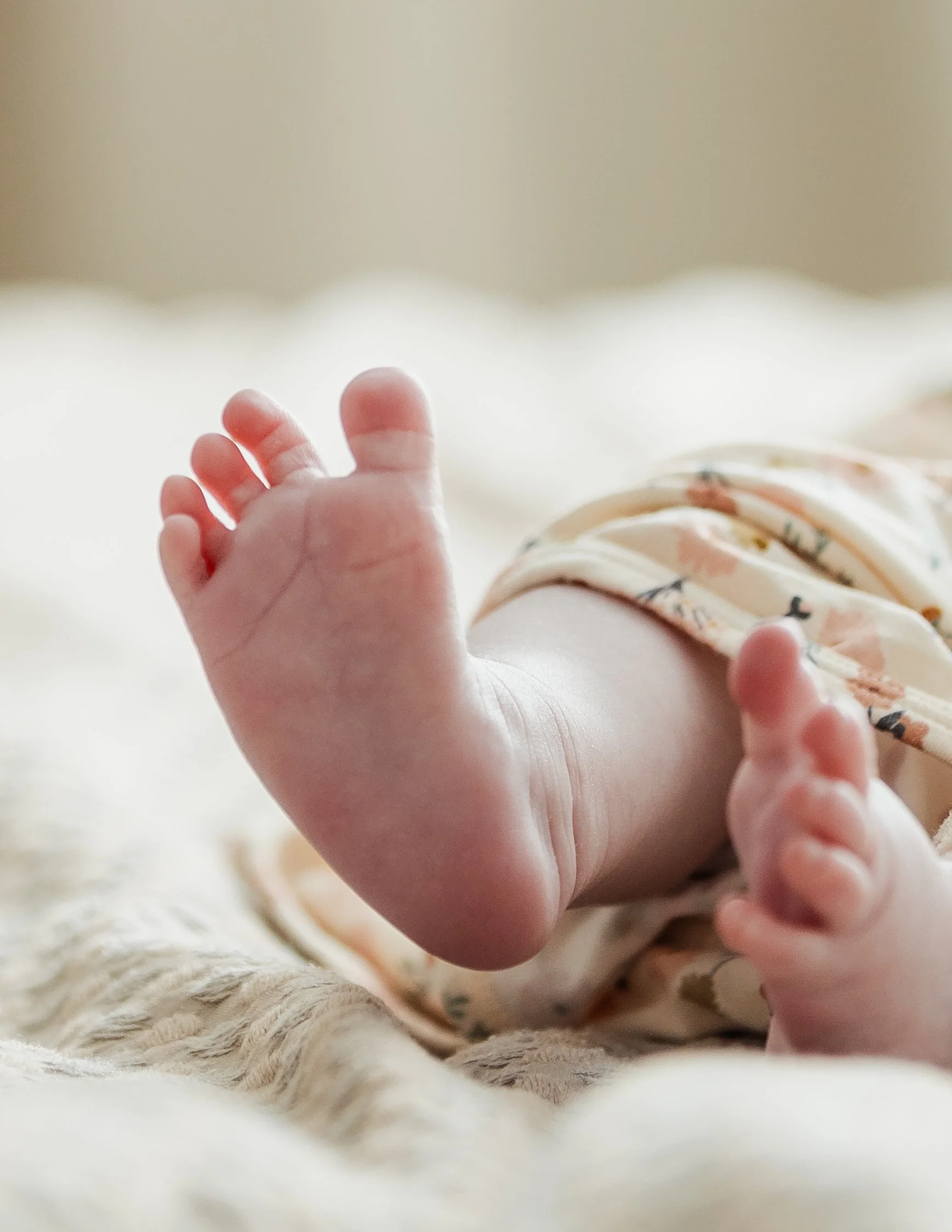 Katie Family (40 of 116).jpg