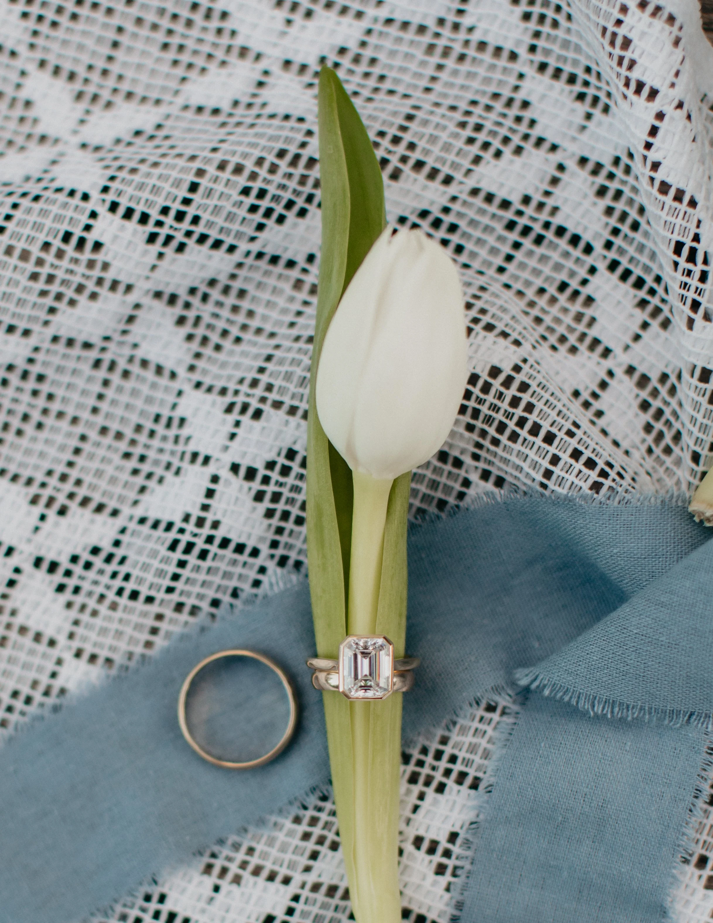 E+R (182 of 216).jpg