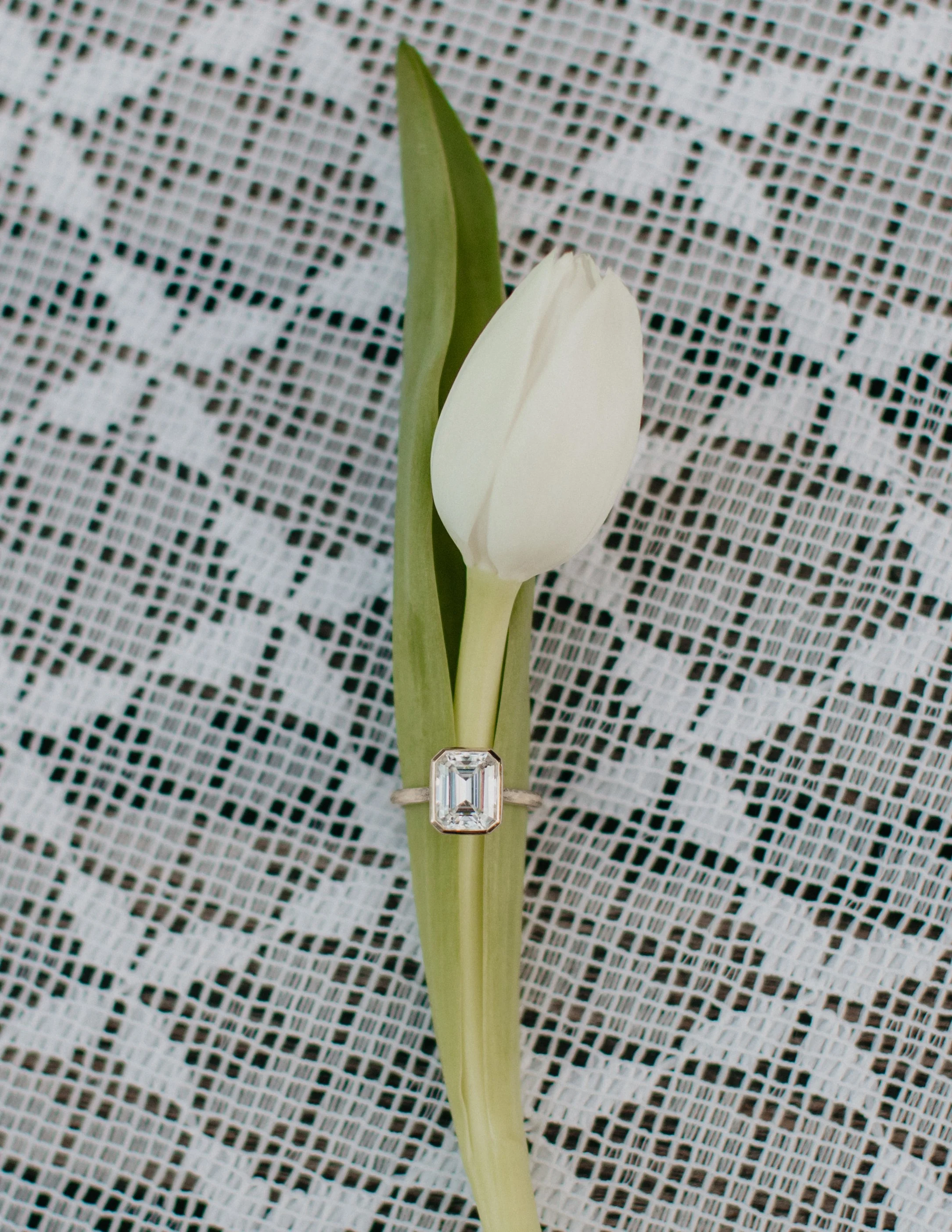 E+R (180 of 216).jpg