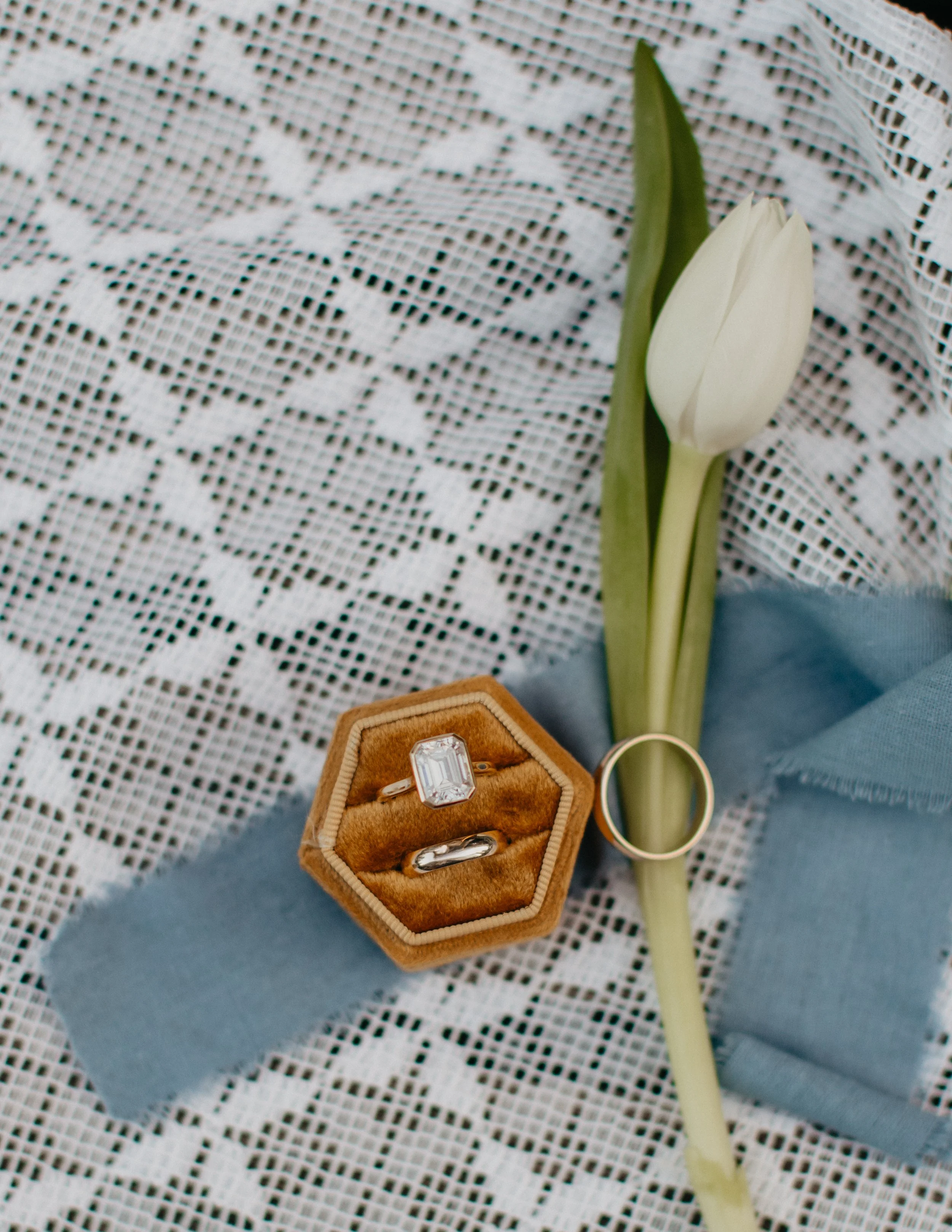 E+R (183 of 216).jpg