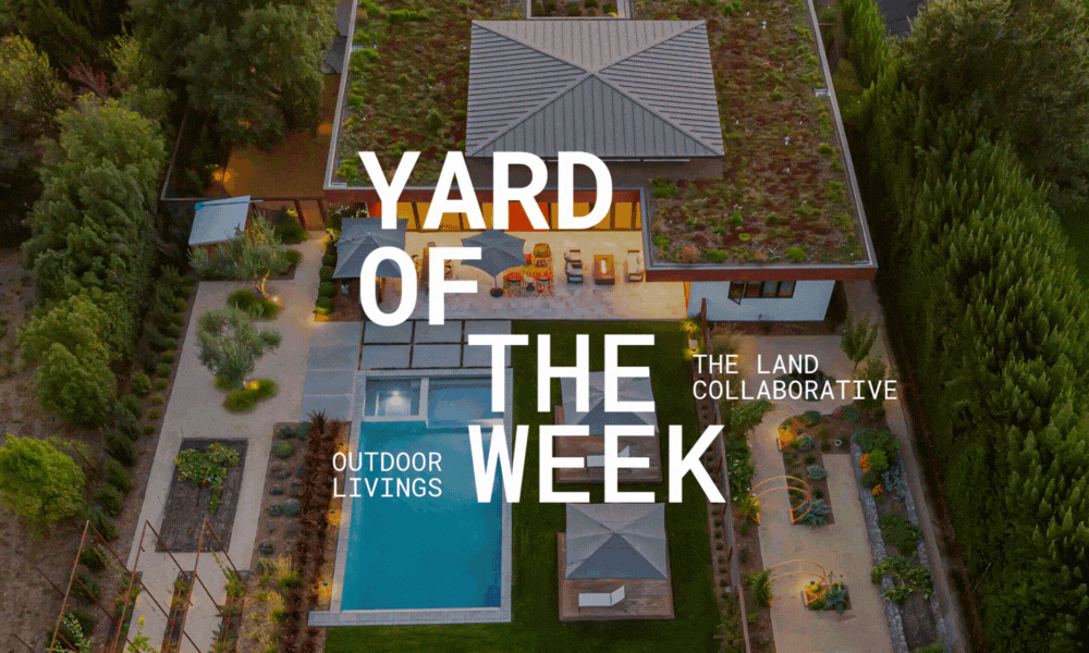 Houzz Feature: Sonoma Green Design
