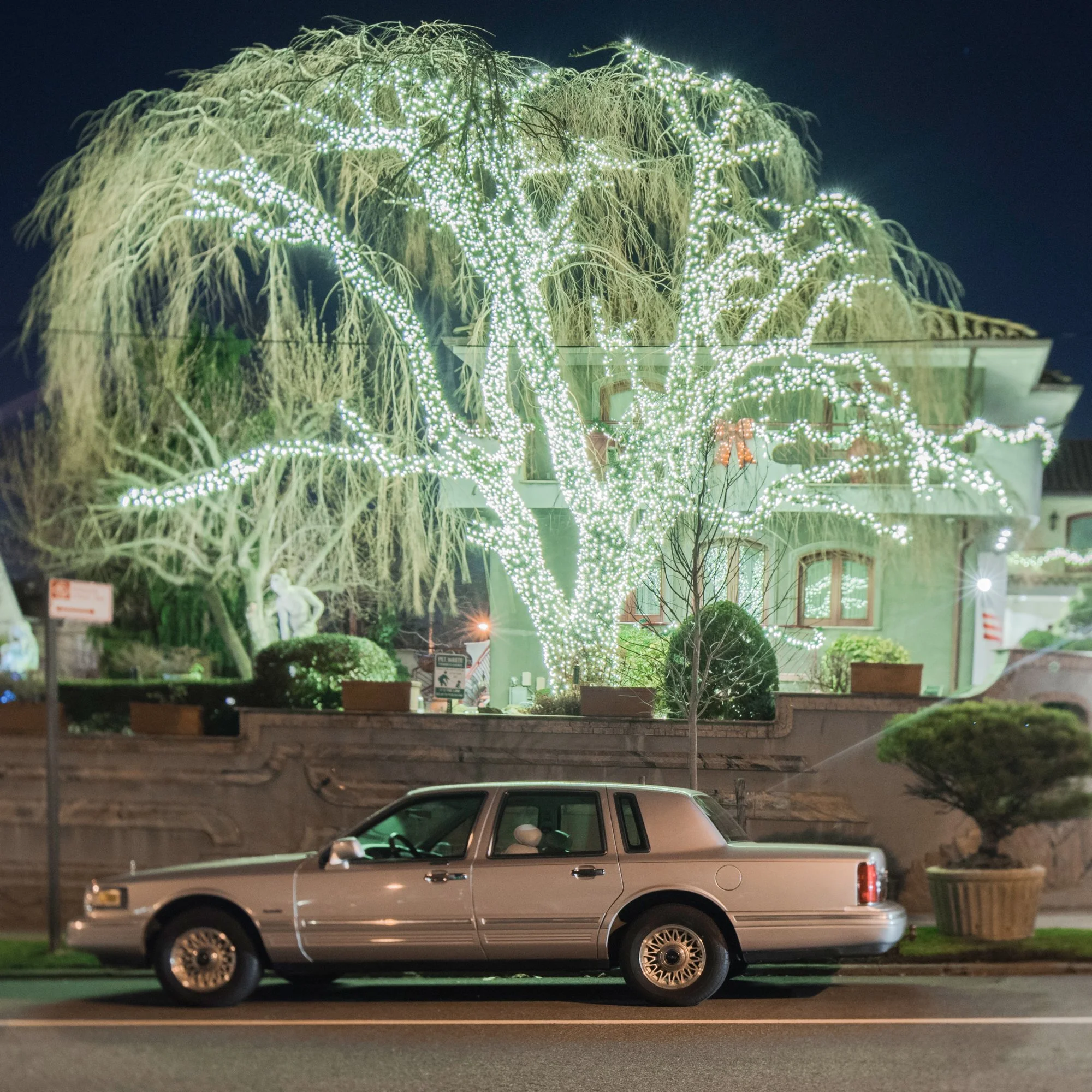 FB_DykerHeights_010.jpg