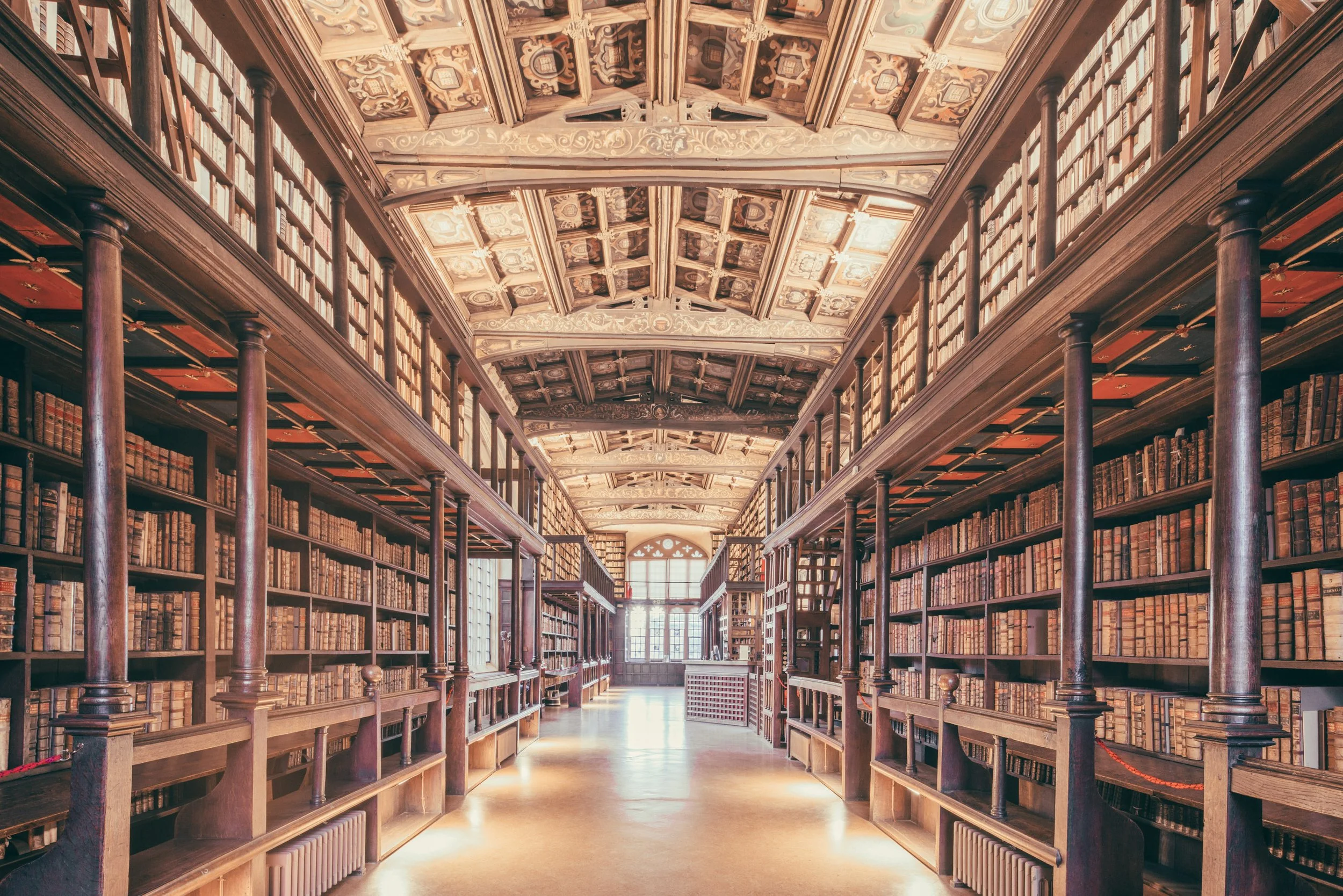 T2he Bodleian Libraries, University of Oxford, 2017 DSC00432 2.jpg