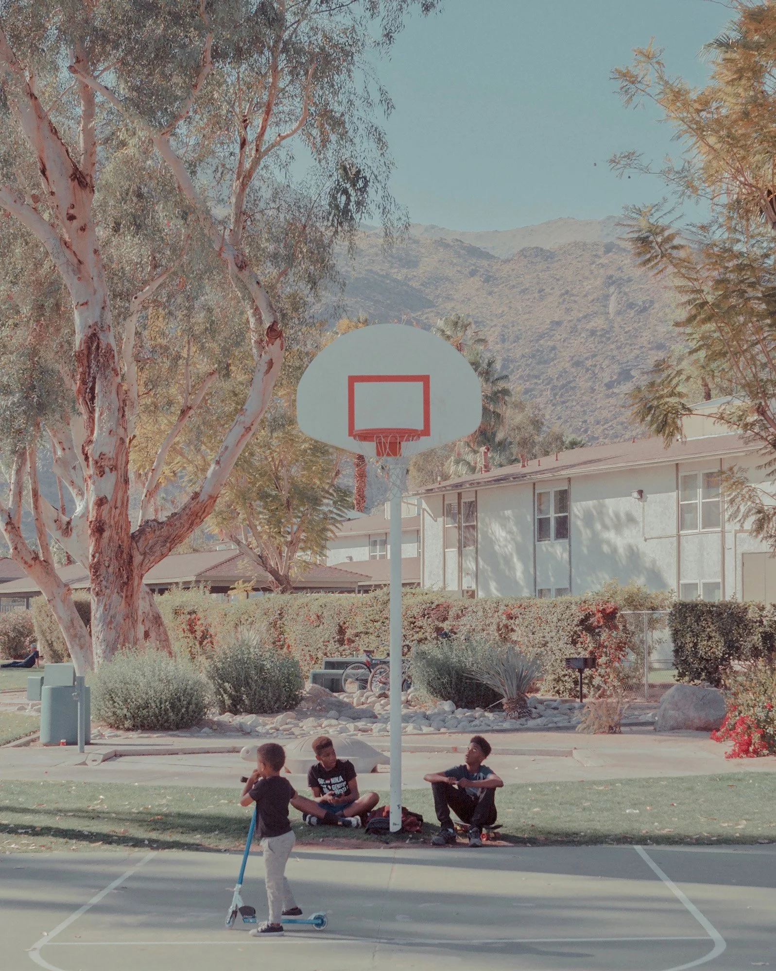 Hoop Dreams, Palm Springs, California, 2020.jpg