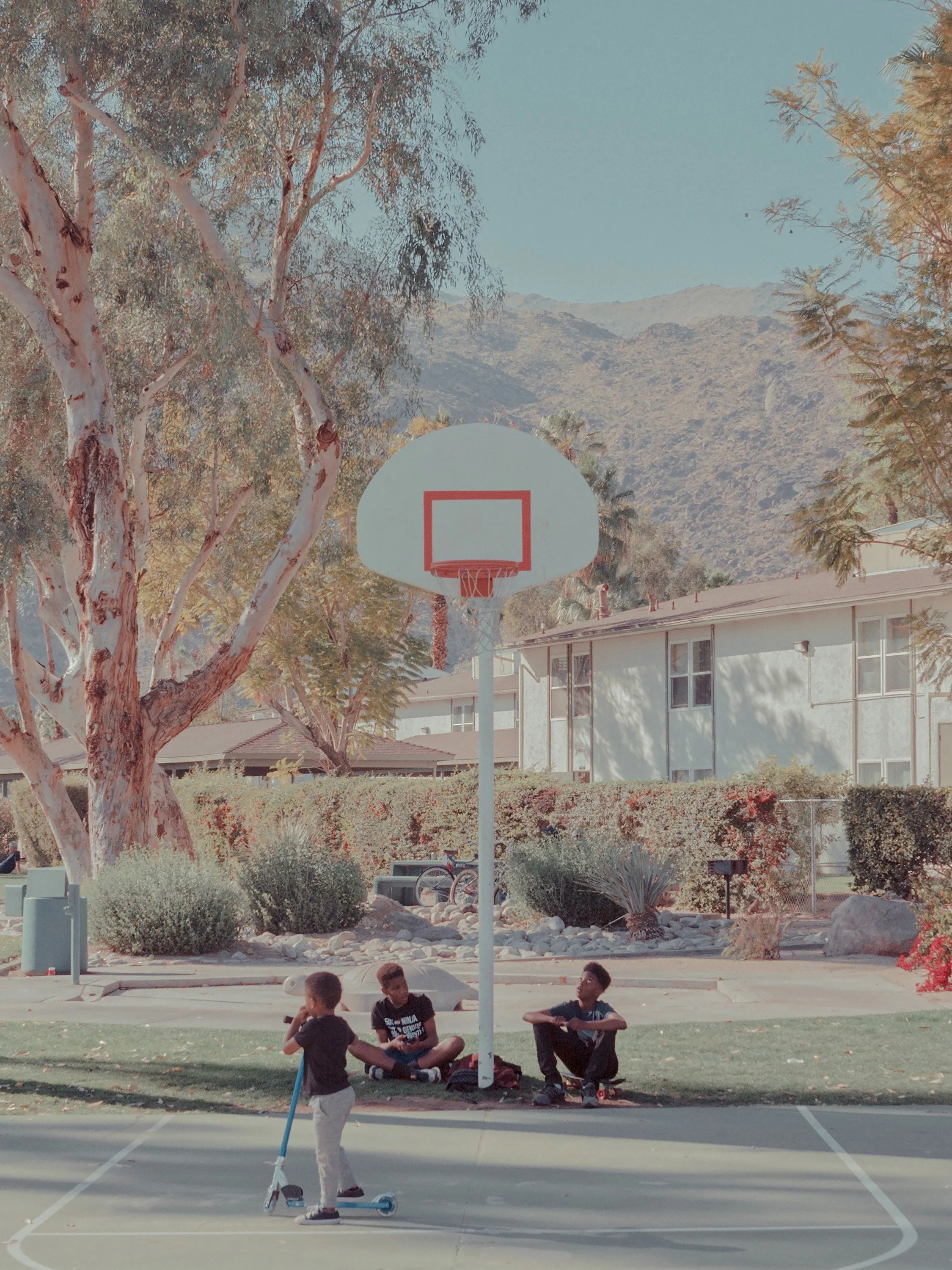 Hoop Dreams, Palm Springs, California, 2020-2.jpg