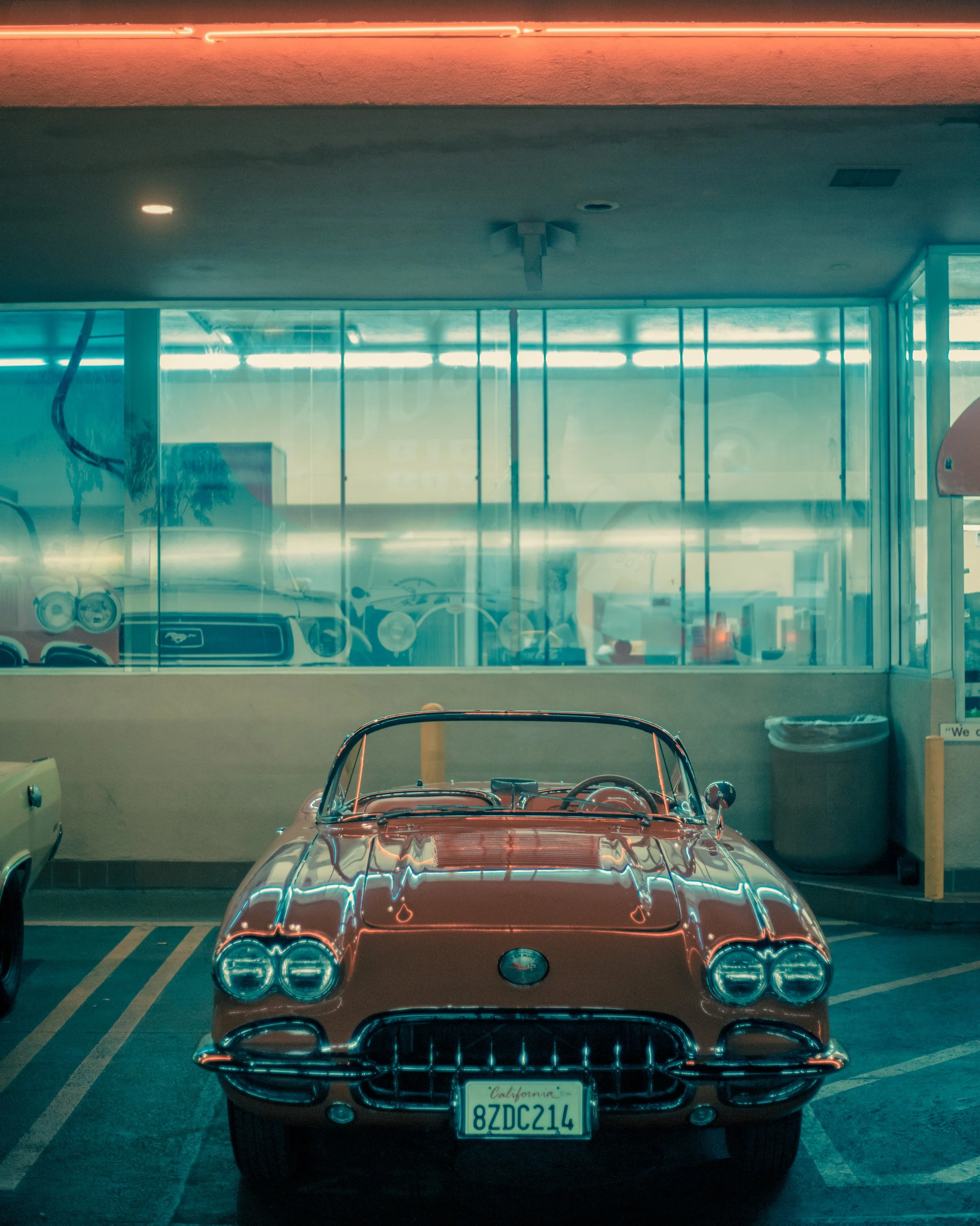 237A9599.jpg
