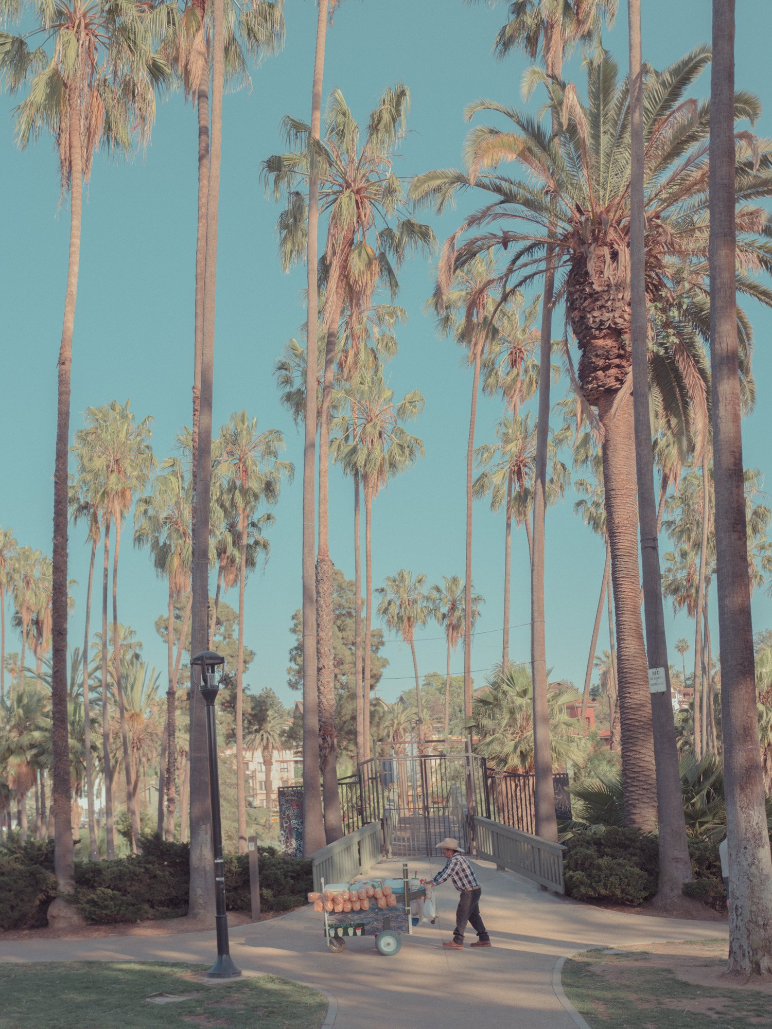 El Vendedor, Echo Park, Los Angeles, California, 2017.jpg