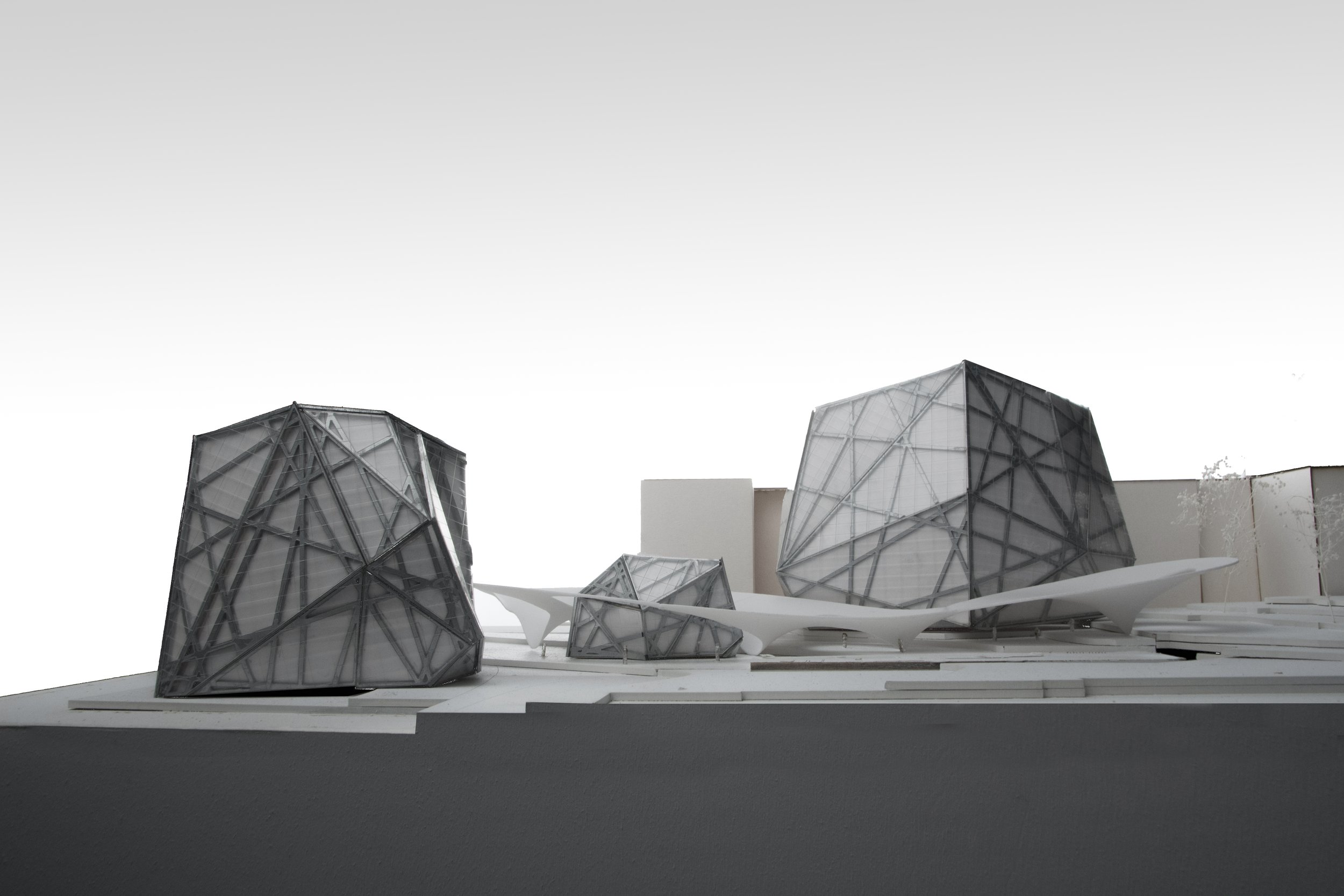 Large Model - Elevation View.jpg