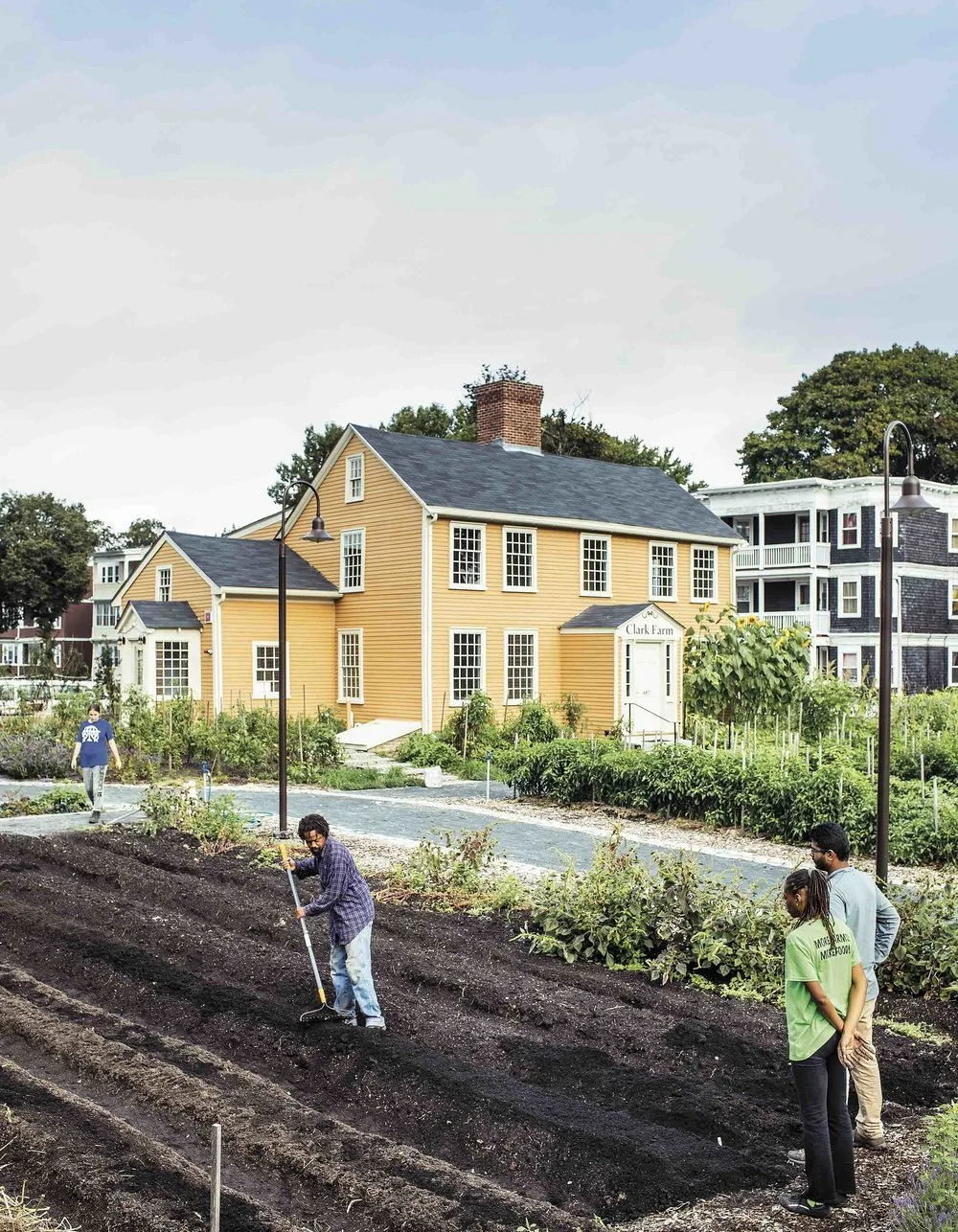 fowlerclarkfarm2 by adam detour.jpg