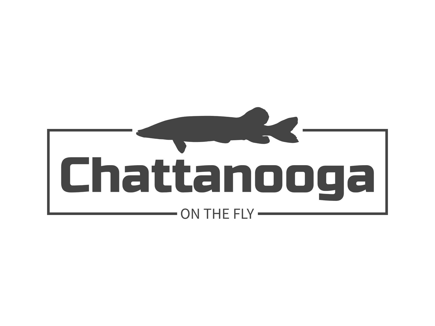 Fly Fishing Guides in Chattanooga, Tennessee