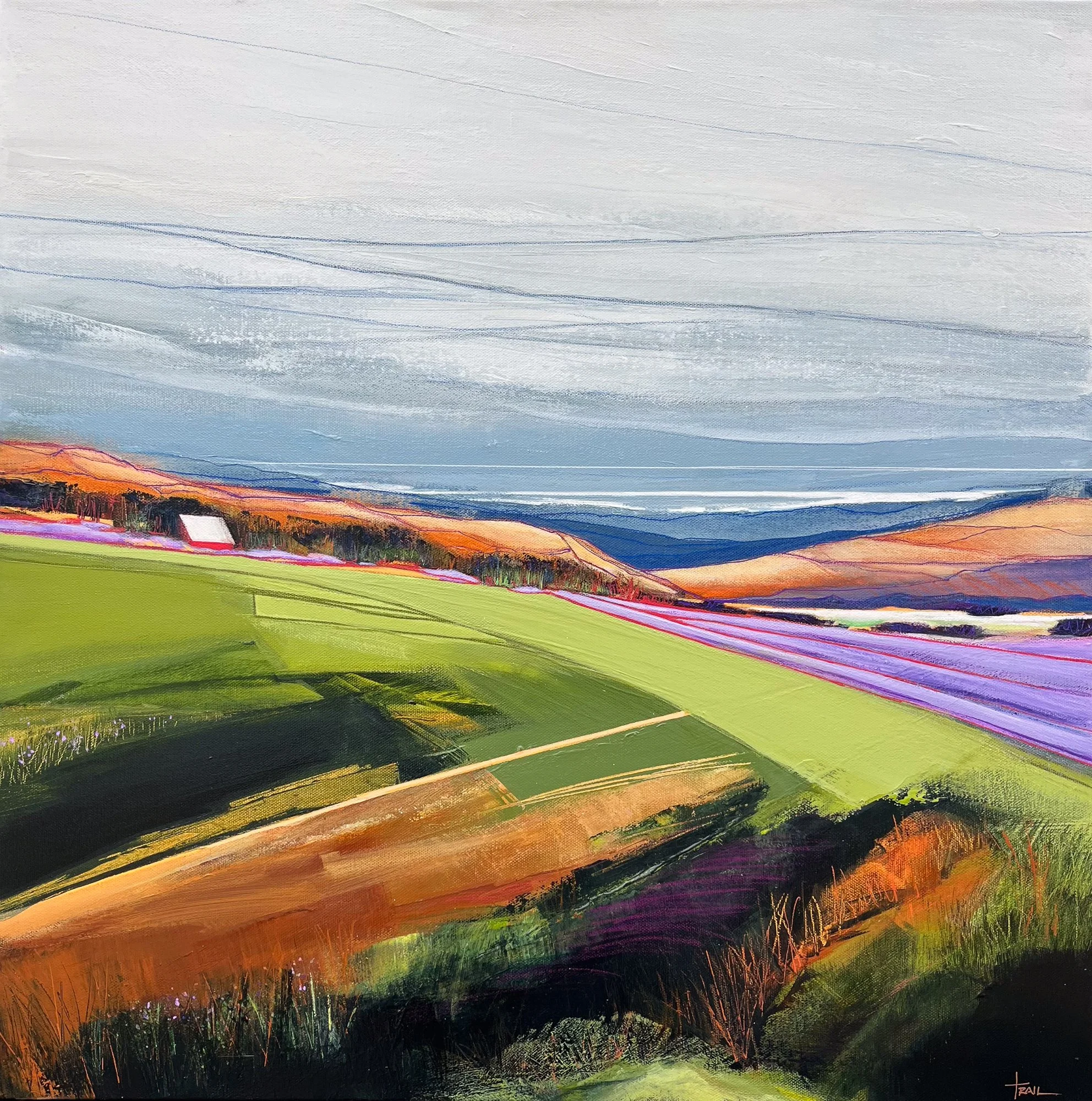 LAVENDER FIELDS ::  24" x 24"  