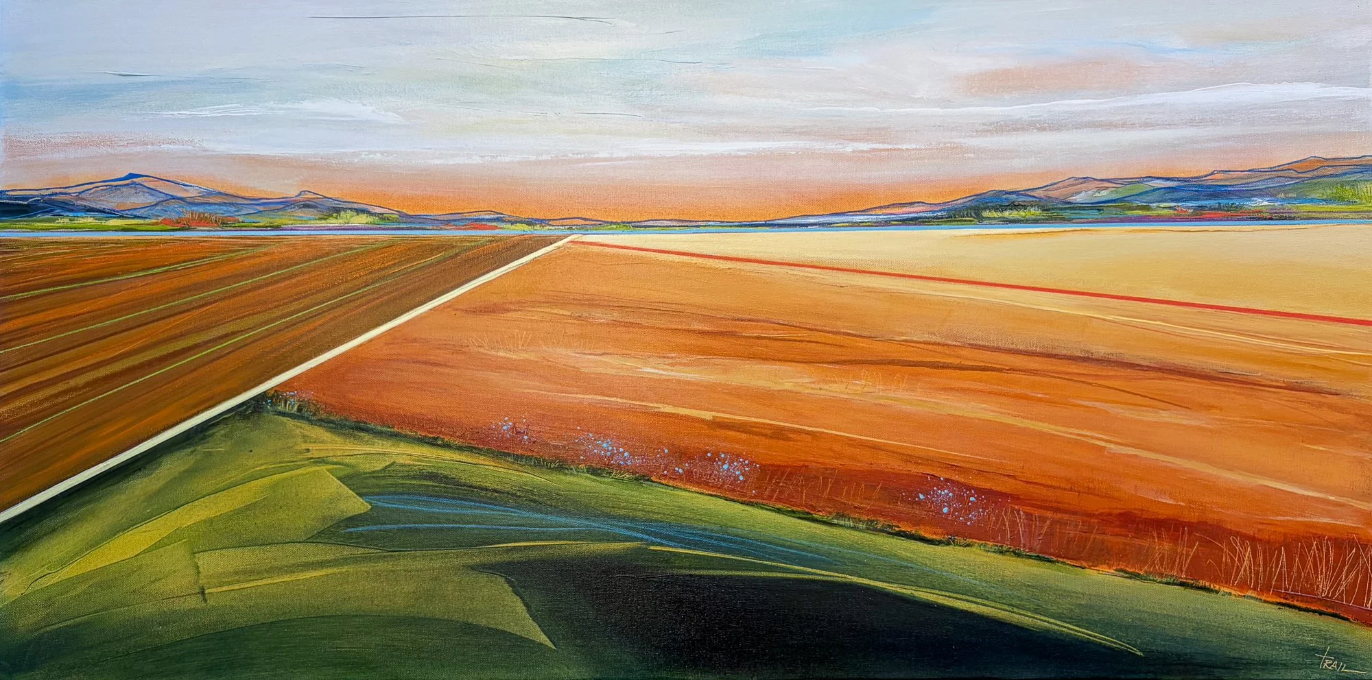 FIELD LINES::  24" x 48" 
