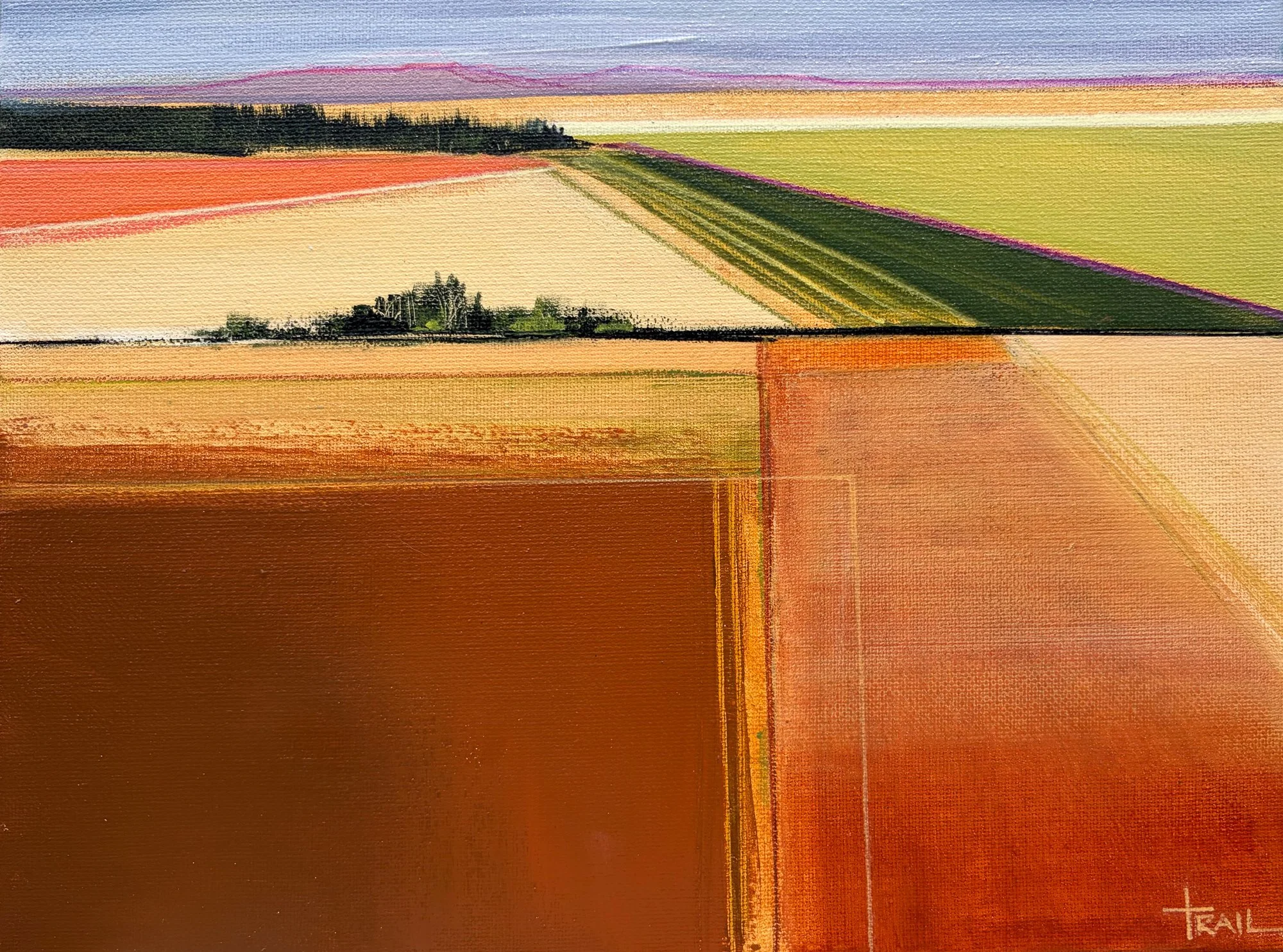STRATA I ::  9" x 12"  $485  [ Available through PxP Contemporary online gallery ]