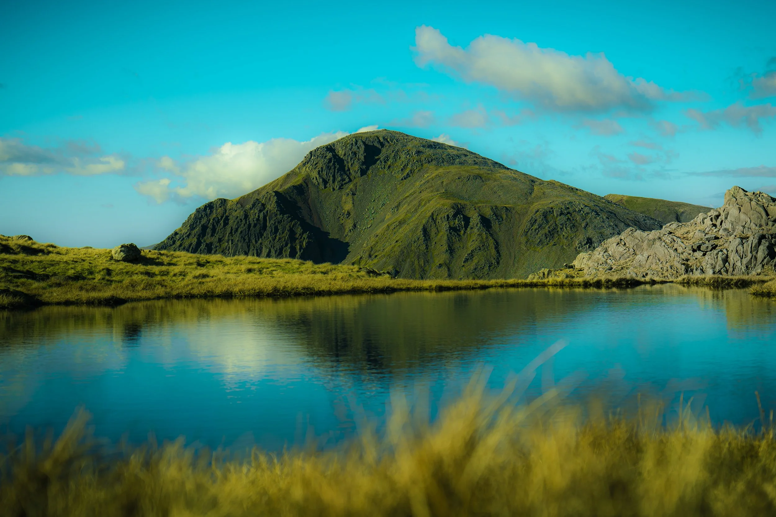 P1054691_Original 2.jpg