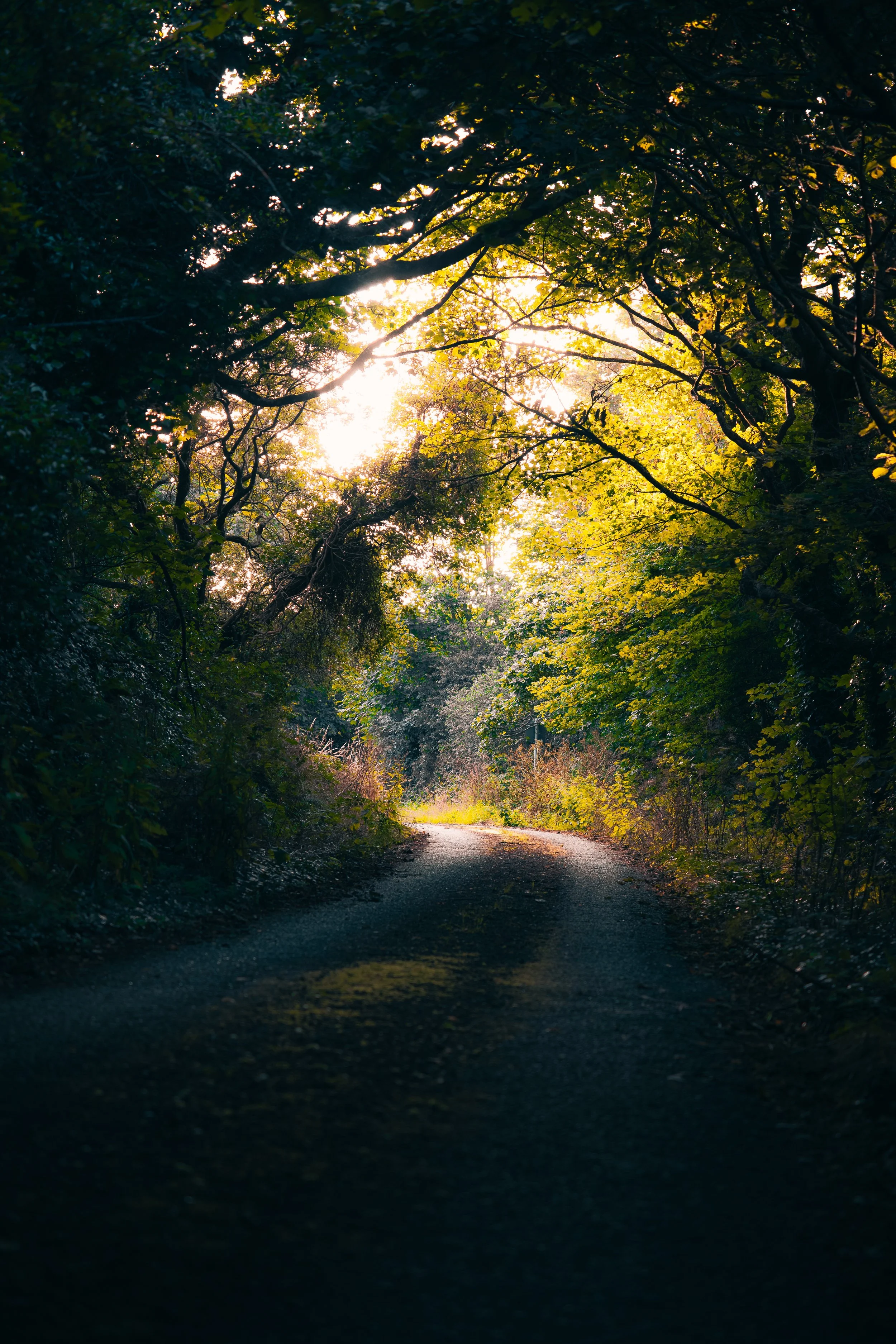 P1090109_Original 2.jpg